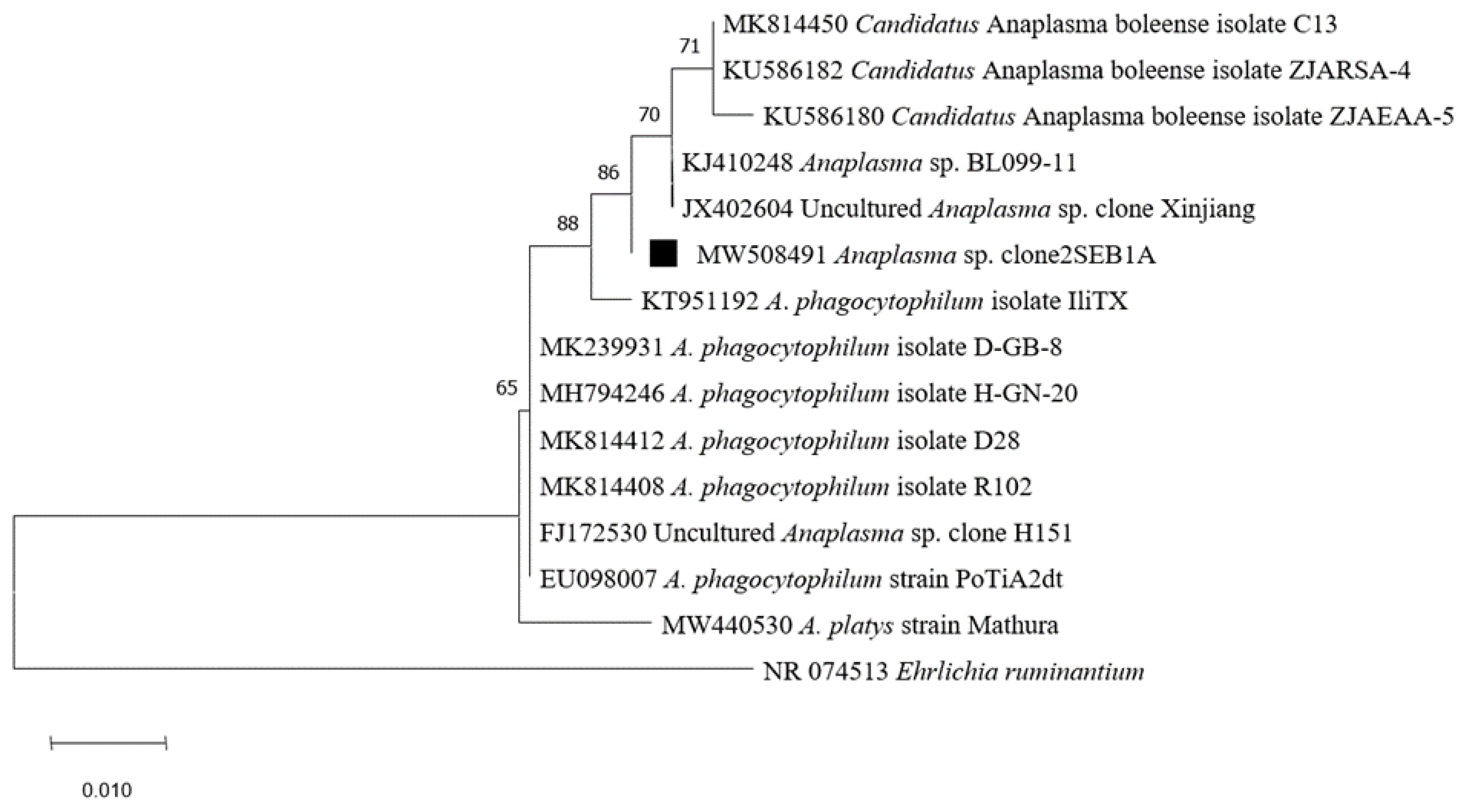 Pathogens 10 00953 g006 Pathogens 10 00953 g006