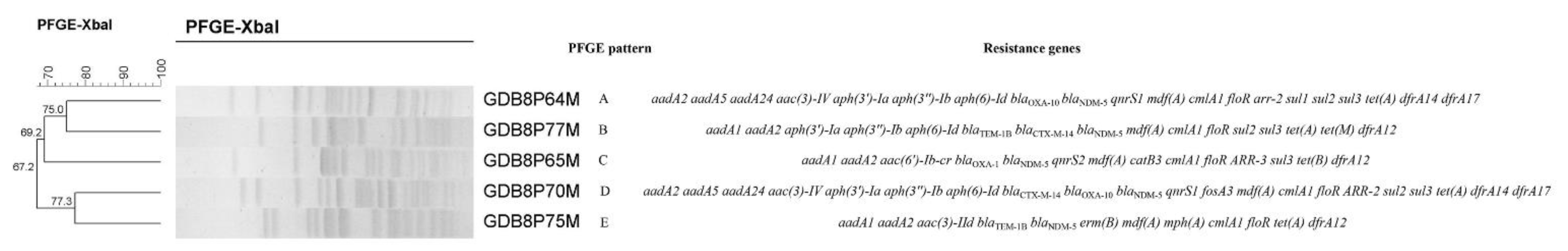 Pathogens 10 00954 g001