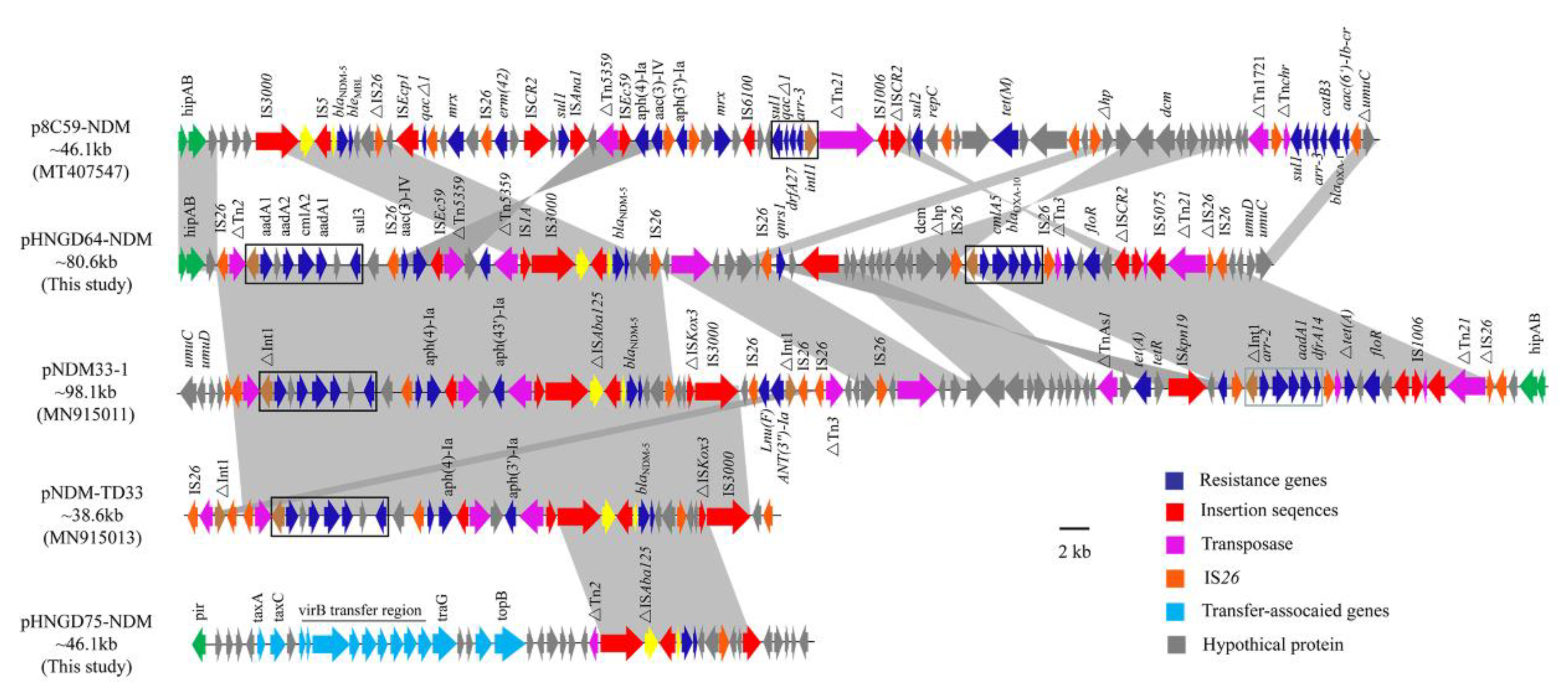 Pathogens 10 00954 g003