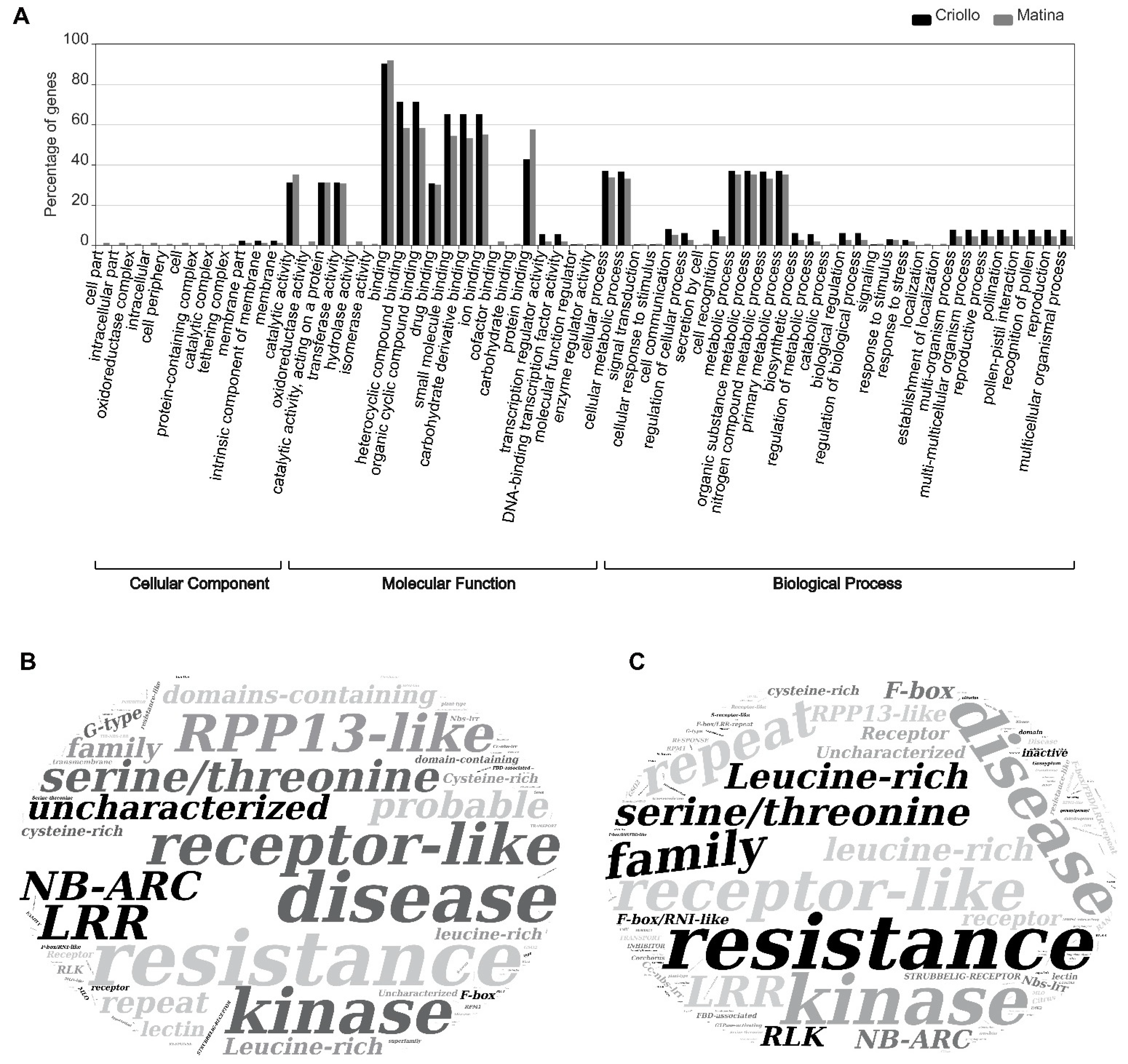 Pathogens 10 00961 g003