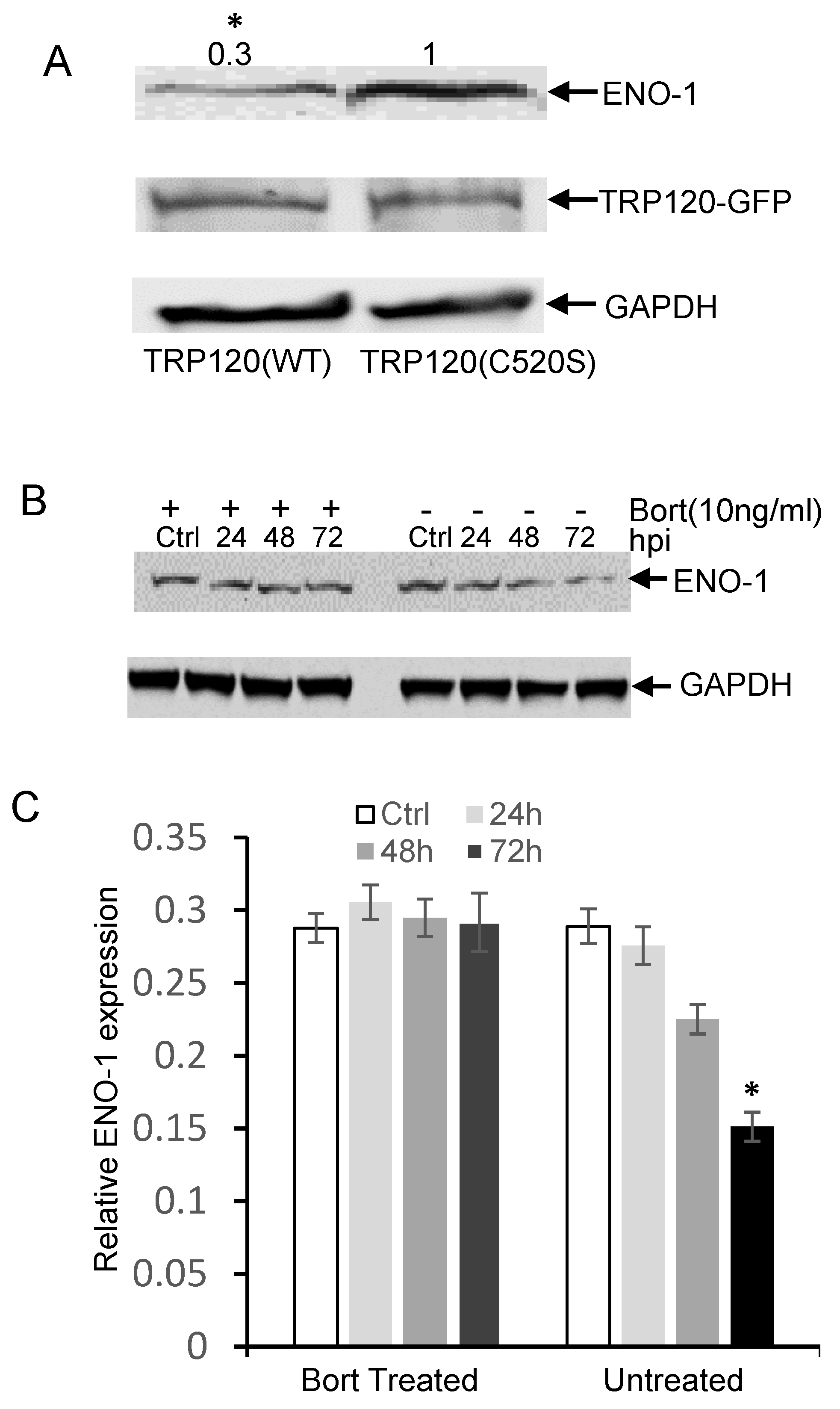 Pathogens 10 00962 g003