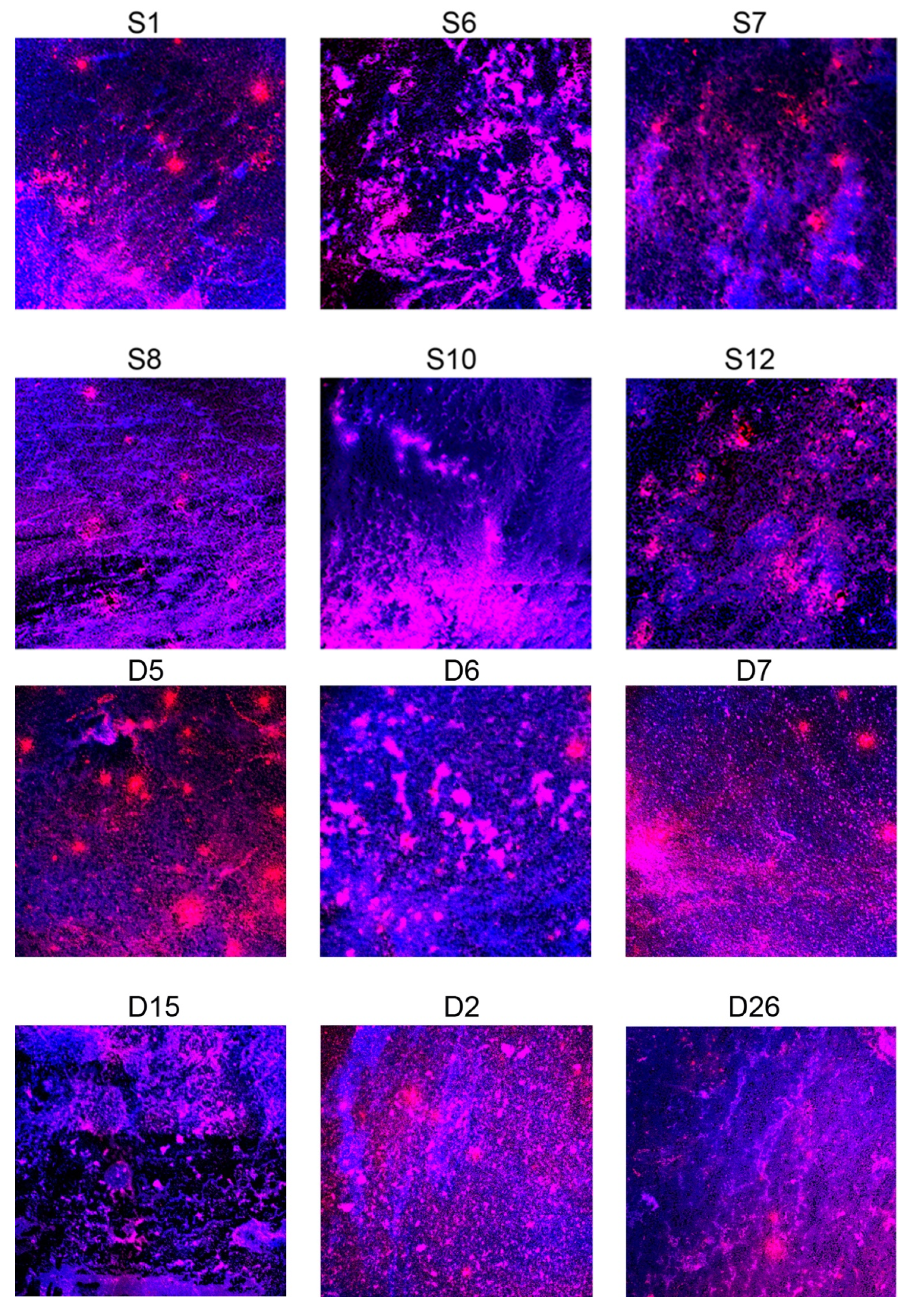 Pathogens 10 00970 g002a