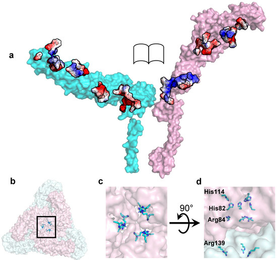 The Structural Biology of Eastern Equine Encephalitis Virus, an ...
