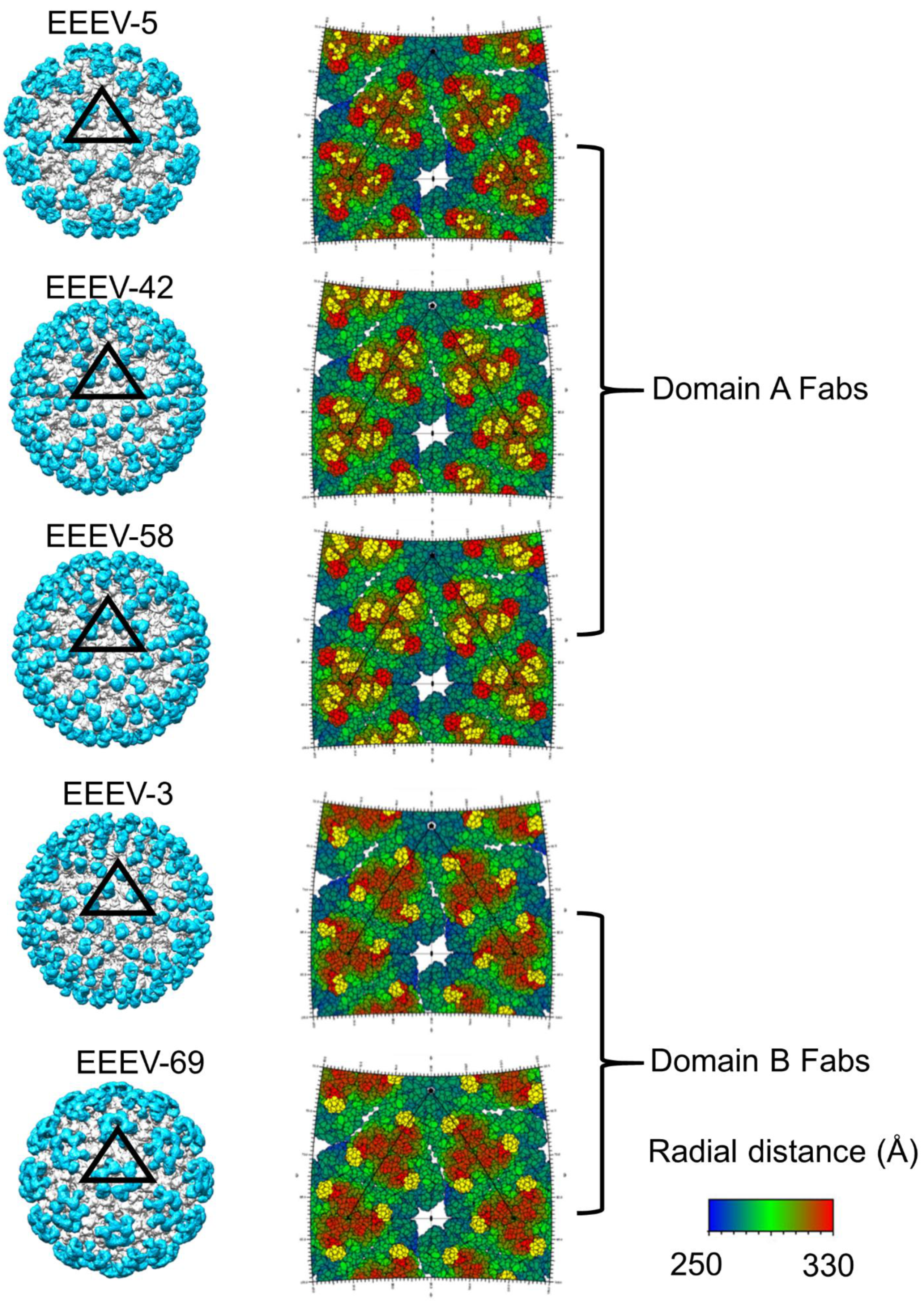Pathogens 10 00973 g007