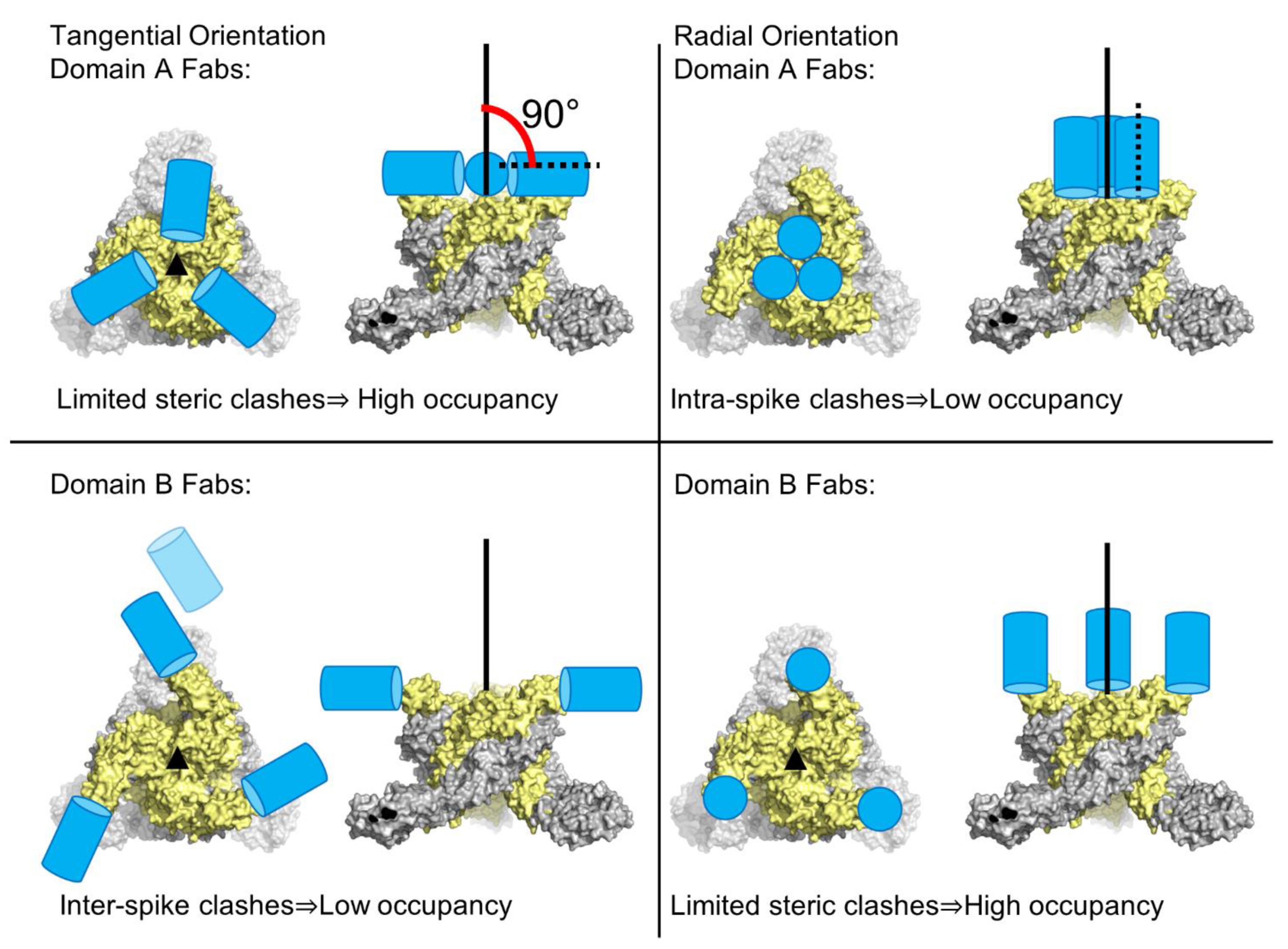 Pathogens 10 00973 g008