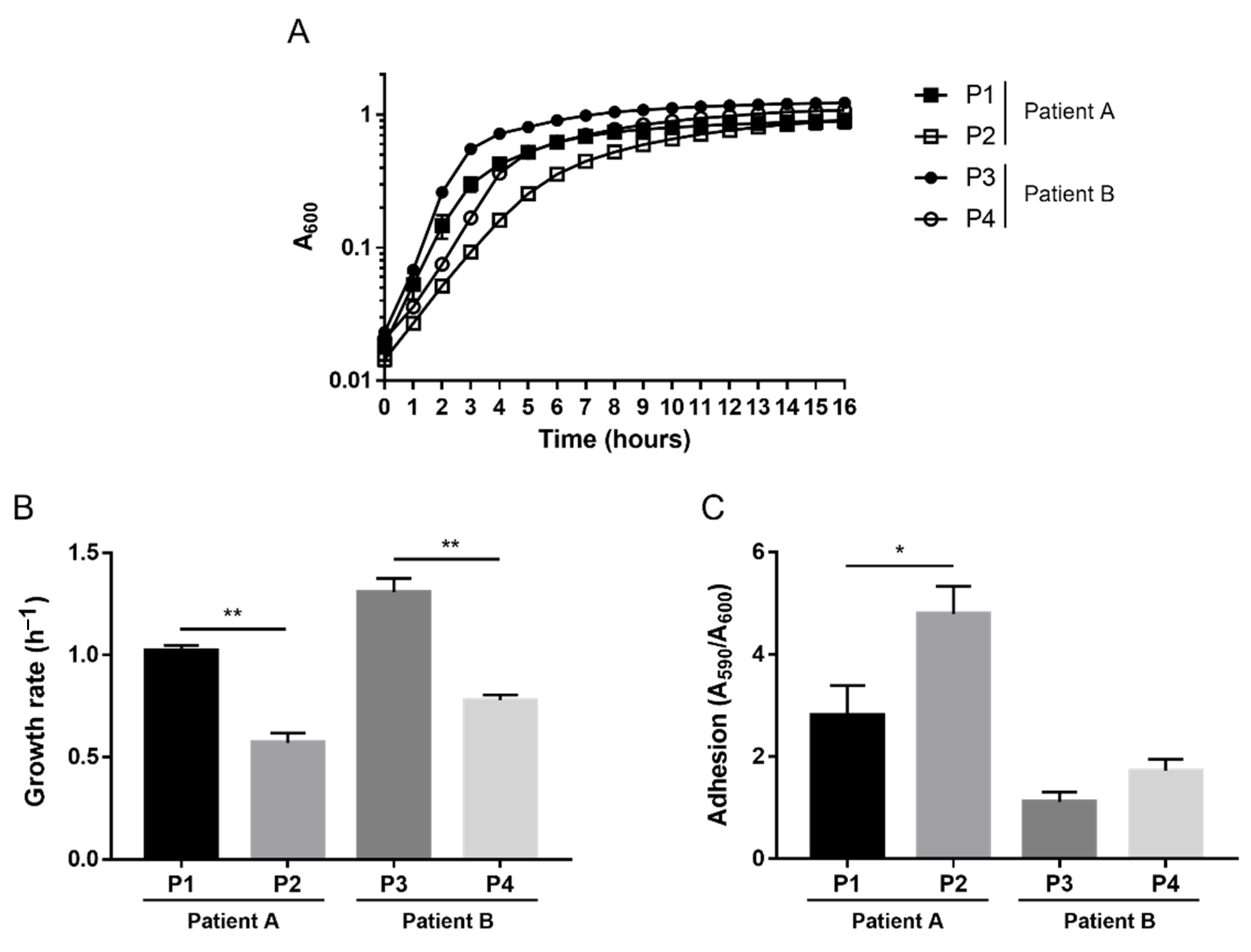 Pathogens 10 00978 g001 Pathogens 10 00978 g001
