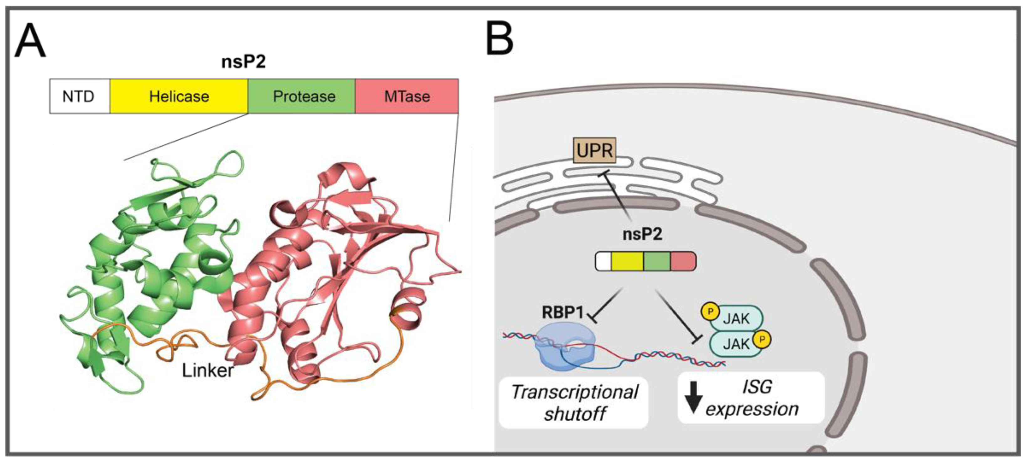 Pathogens 10 00981 g003 550