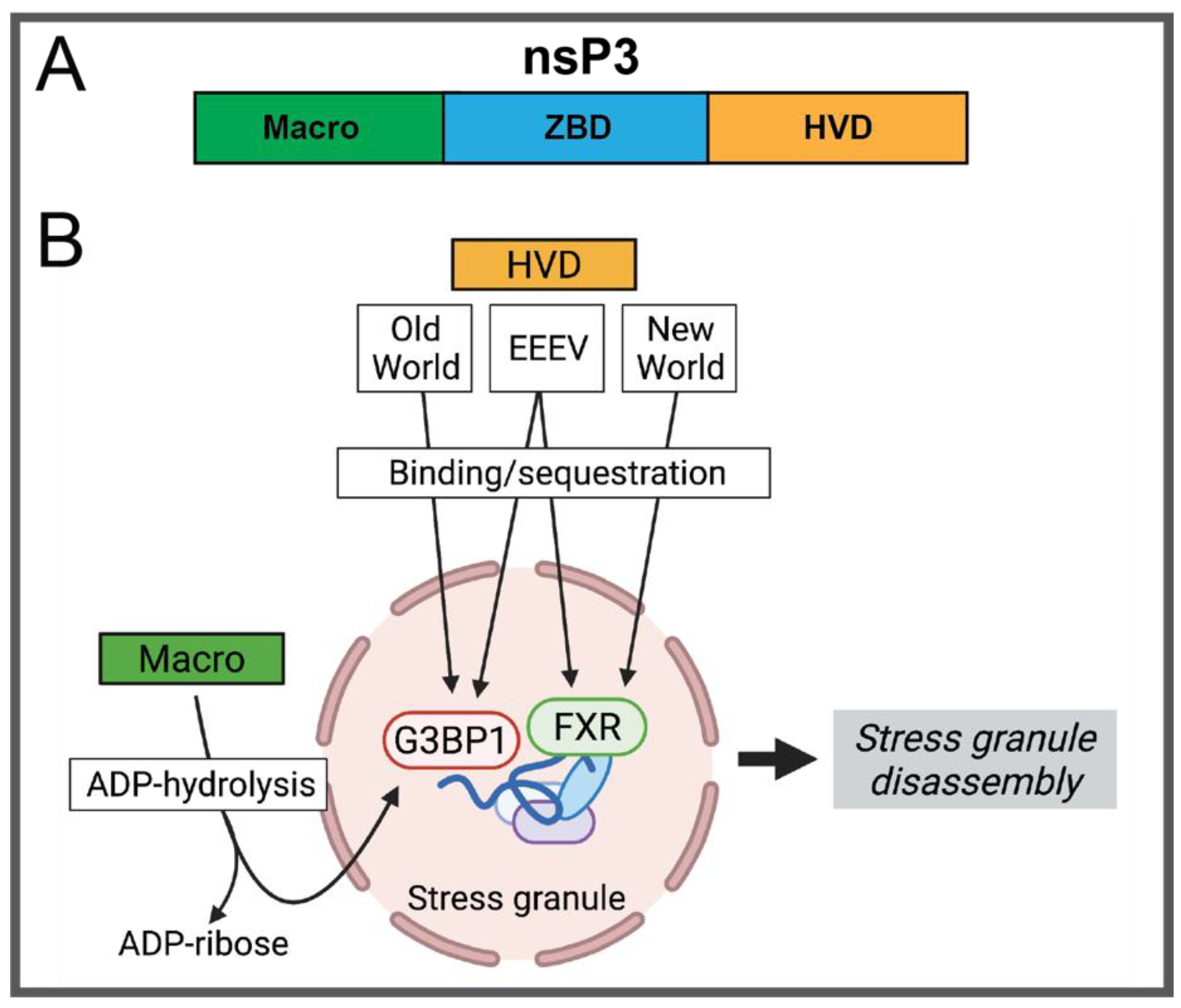 Pathogens 10 00981 g004 550