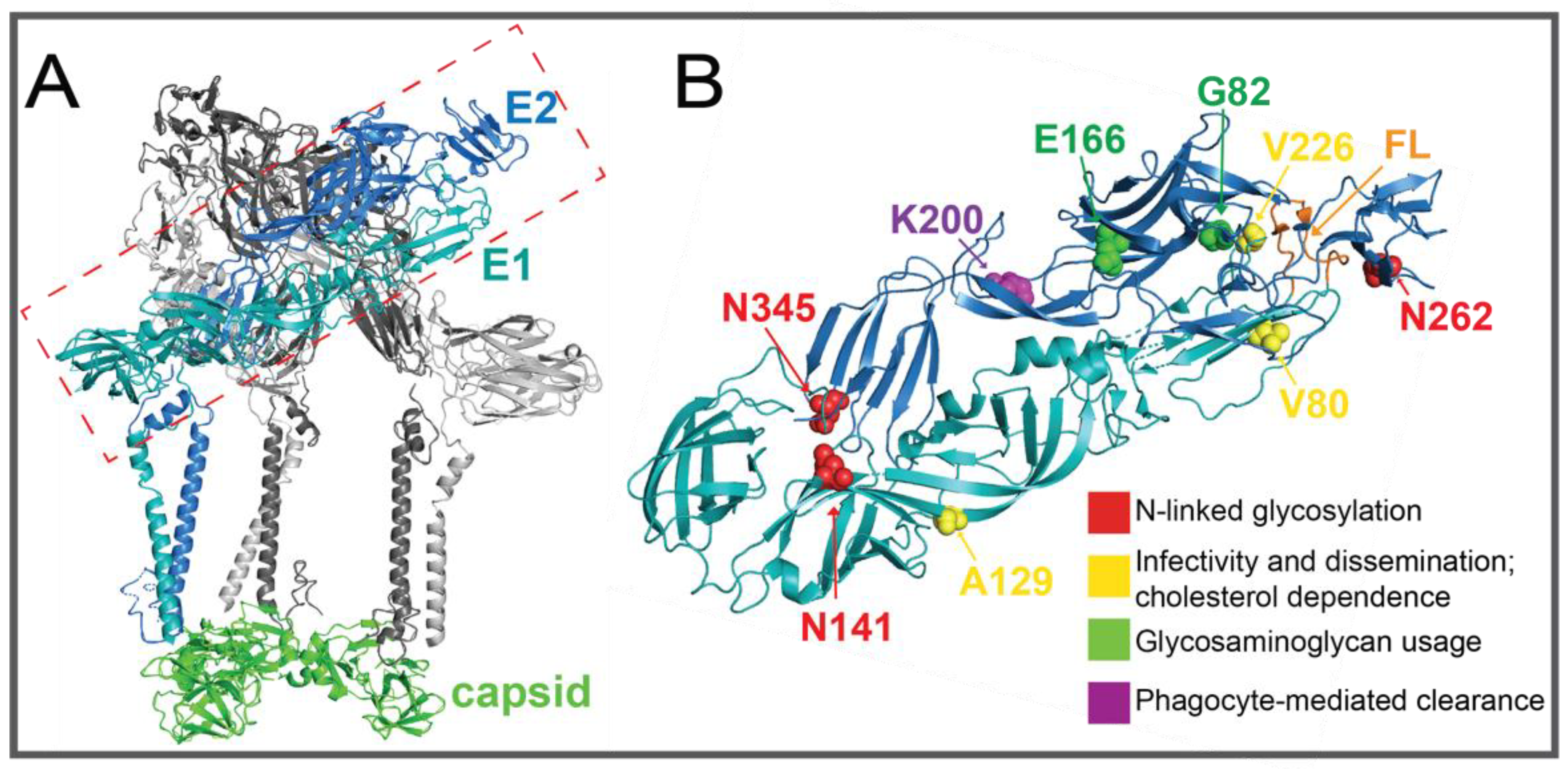 Pathogens 10 00981 g005 550