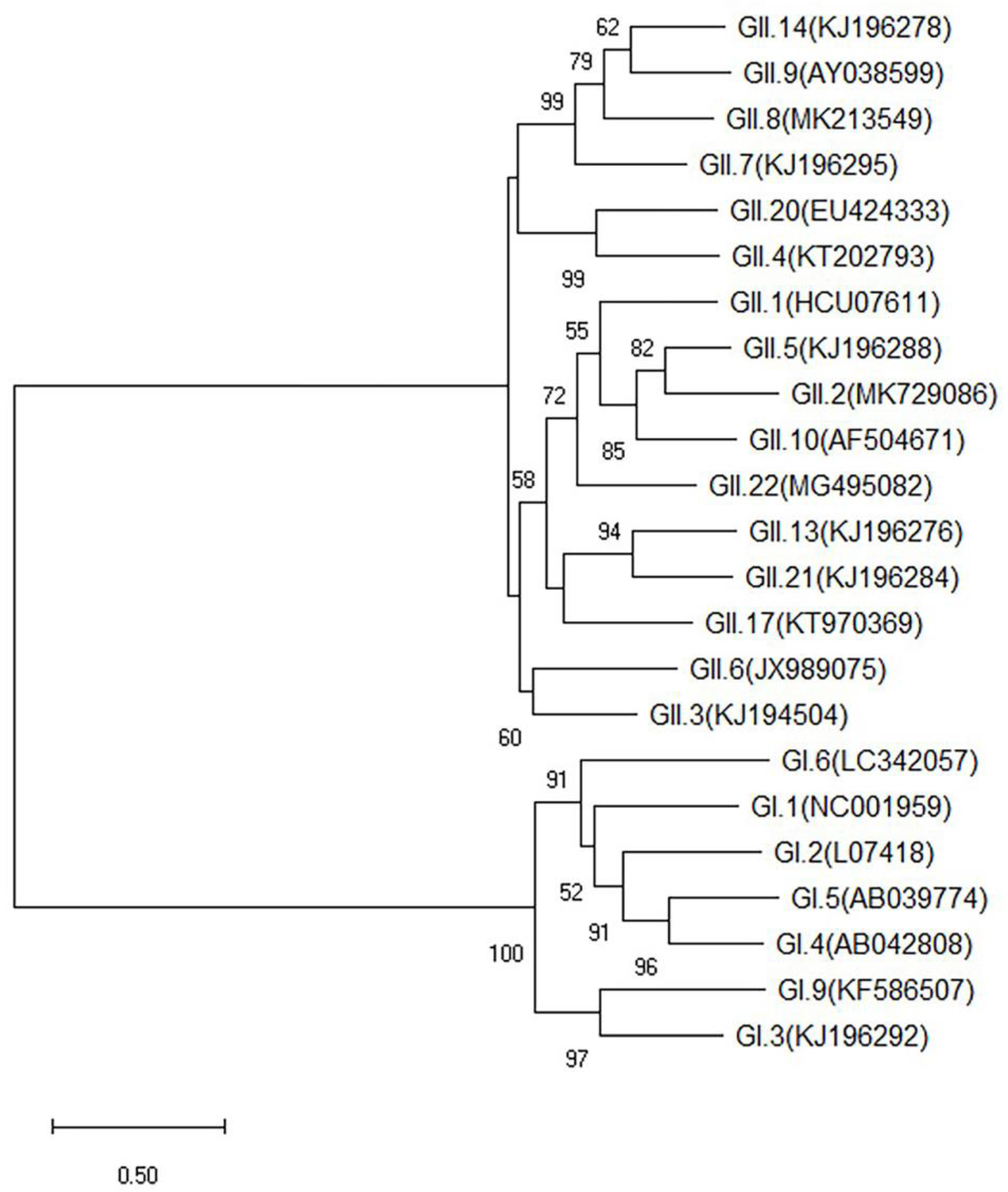 Pathogens 10 00986 g001
