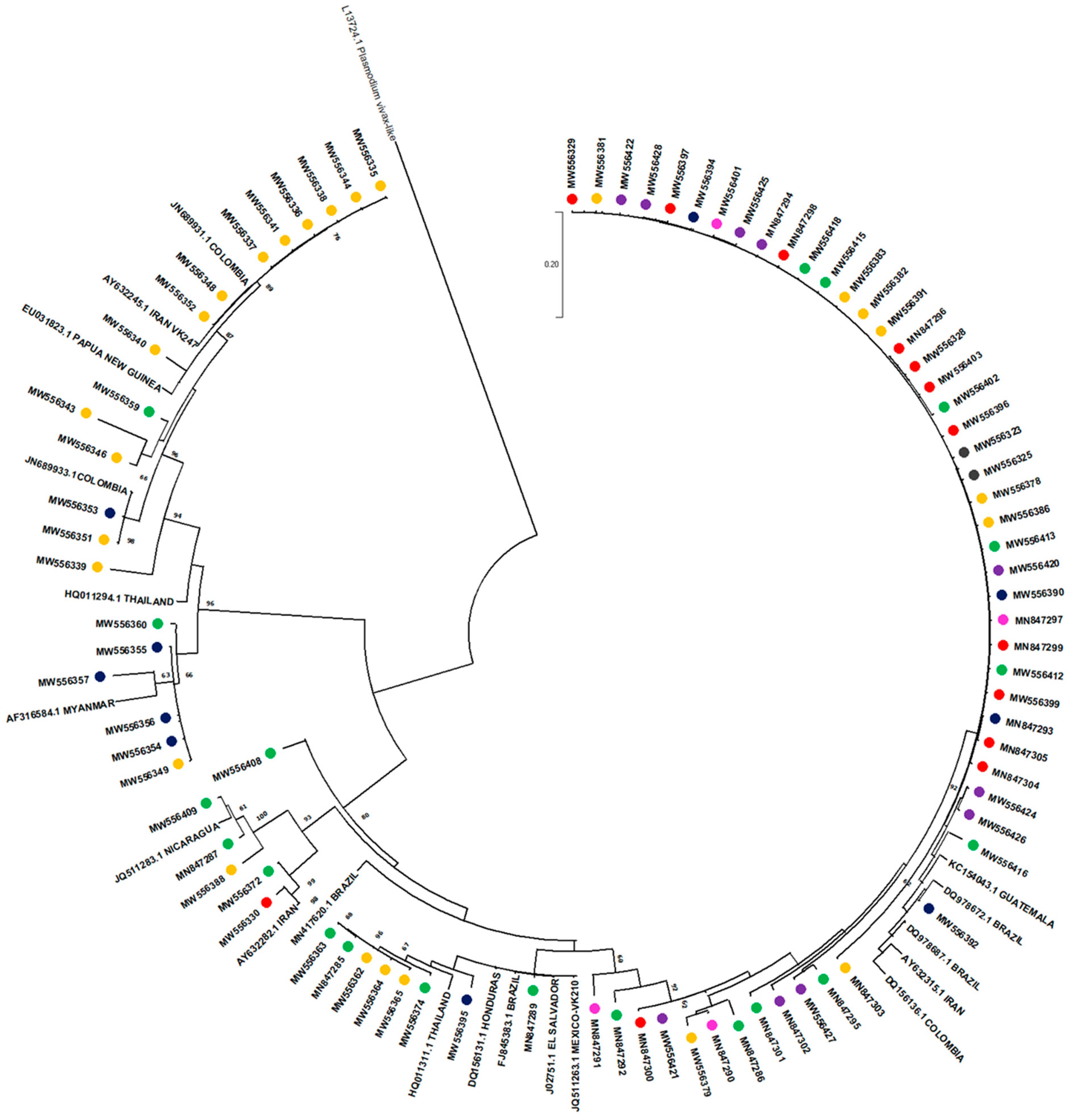 Pathogens 10 00989 g004
