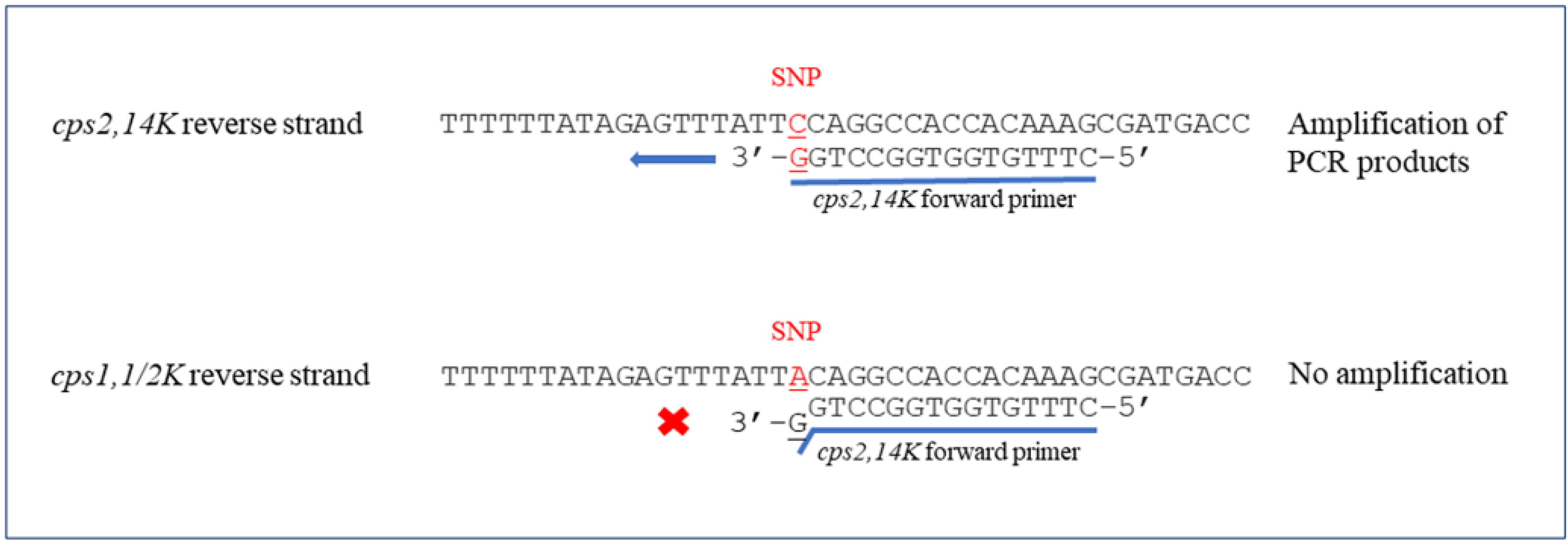 Pathogens 10 00996 g001