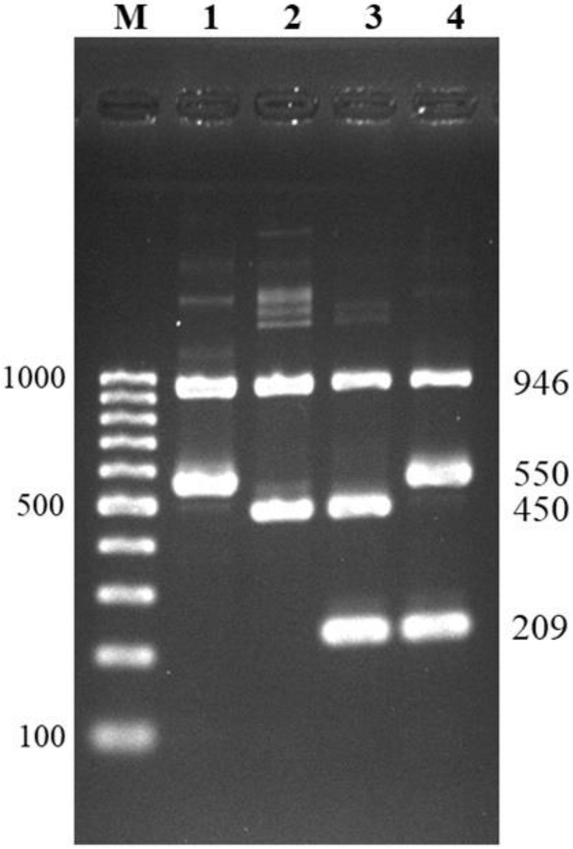 Pathogens 10 00996 g002