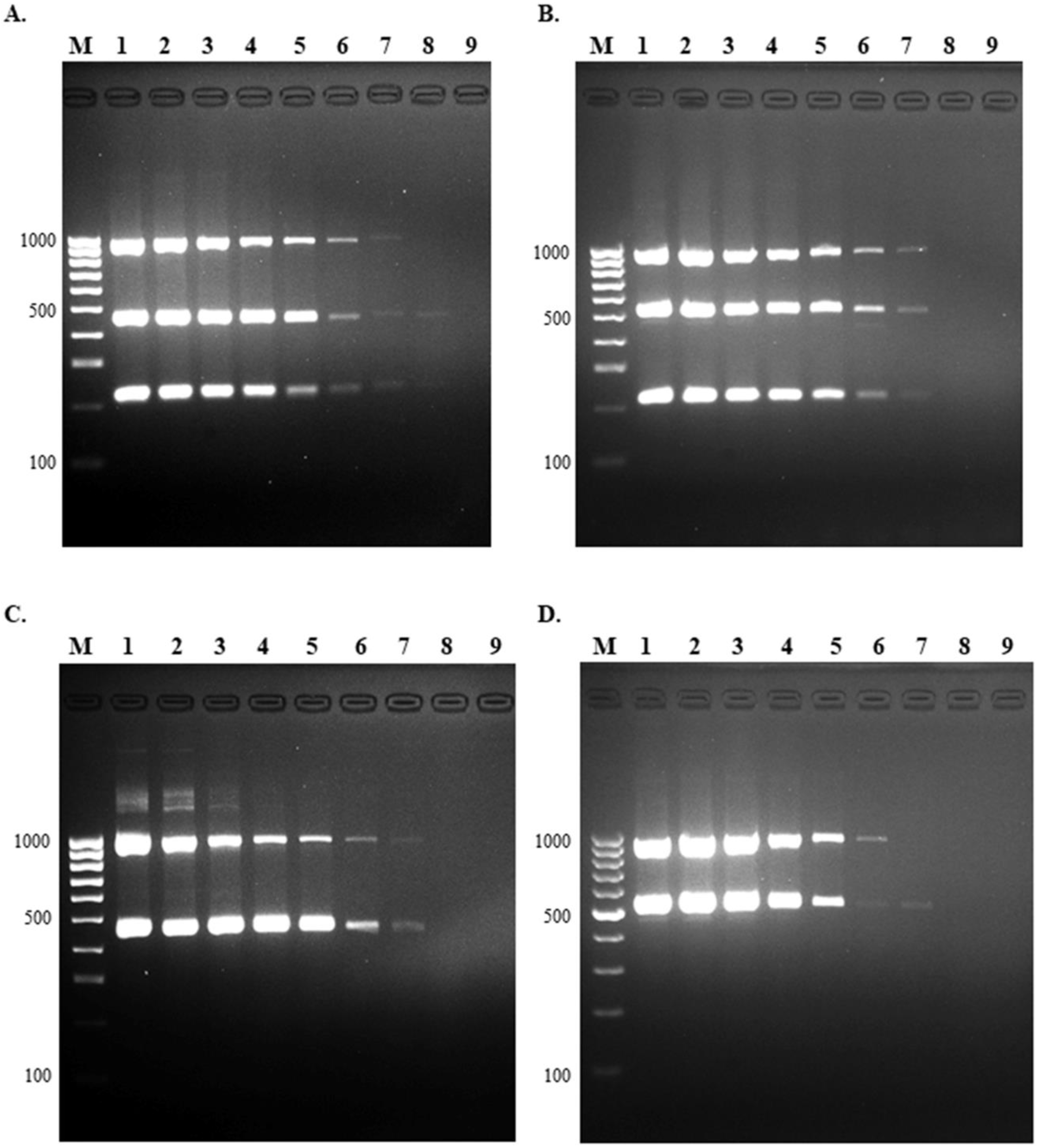 Pathogens 10 00996 g004