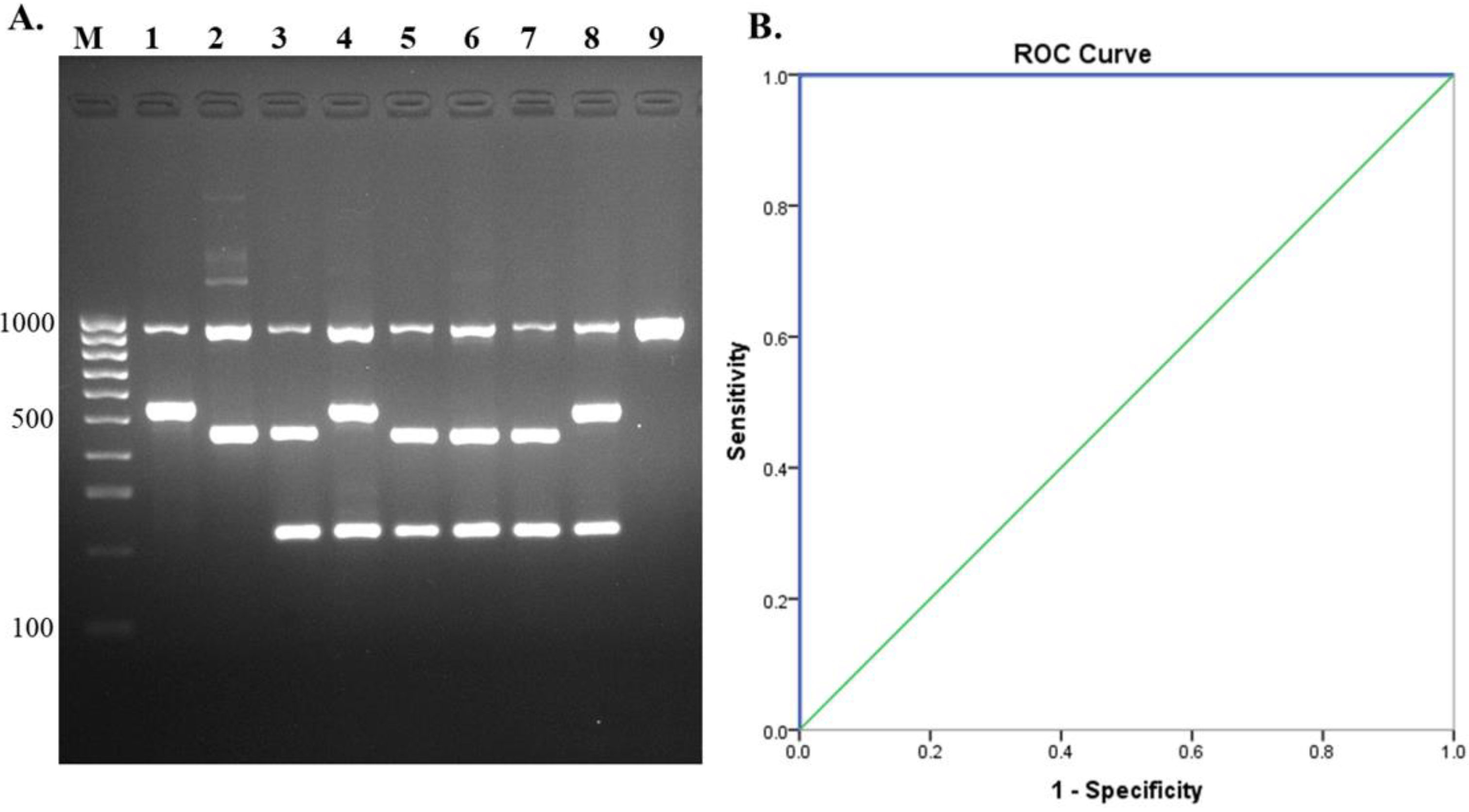 Pathogens 10 00996 g005