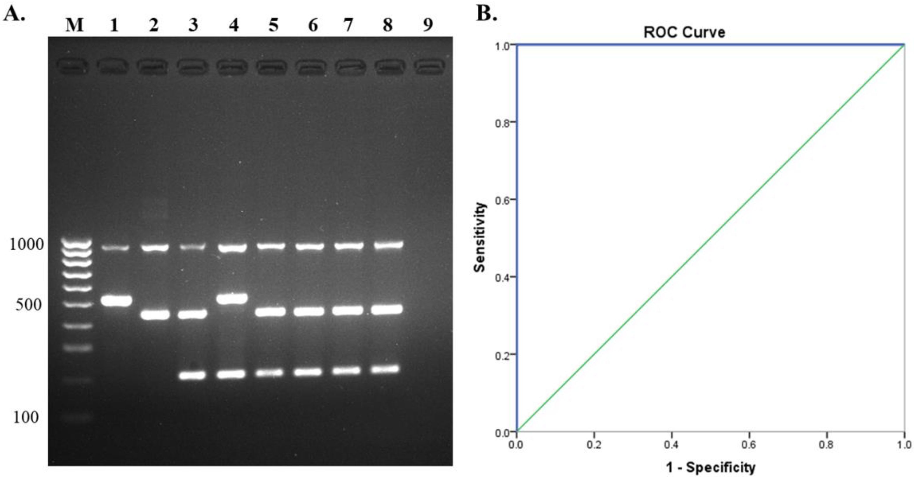 Pathogens 10 00996 g006