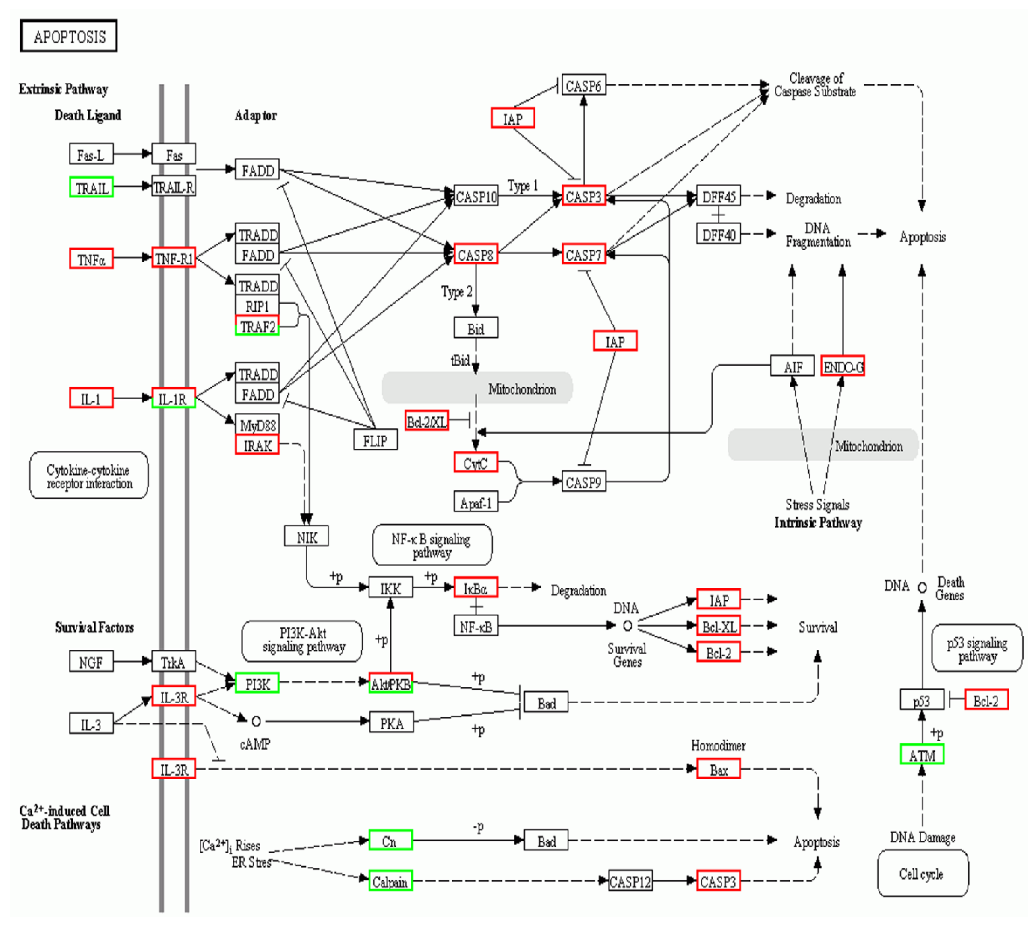 Pathogens 10 00997 g005 550