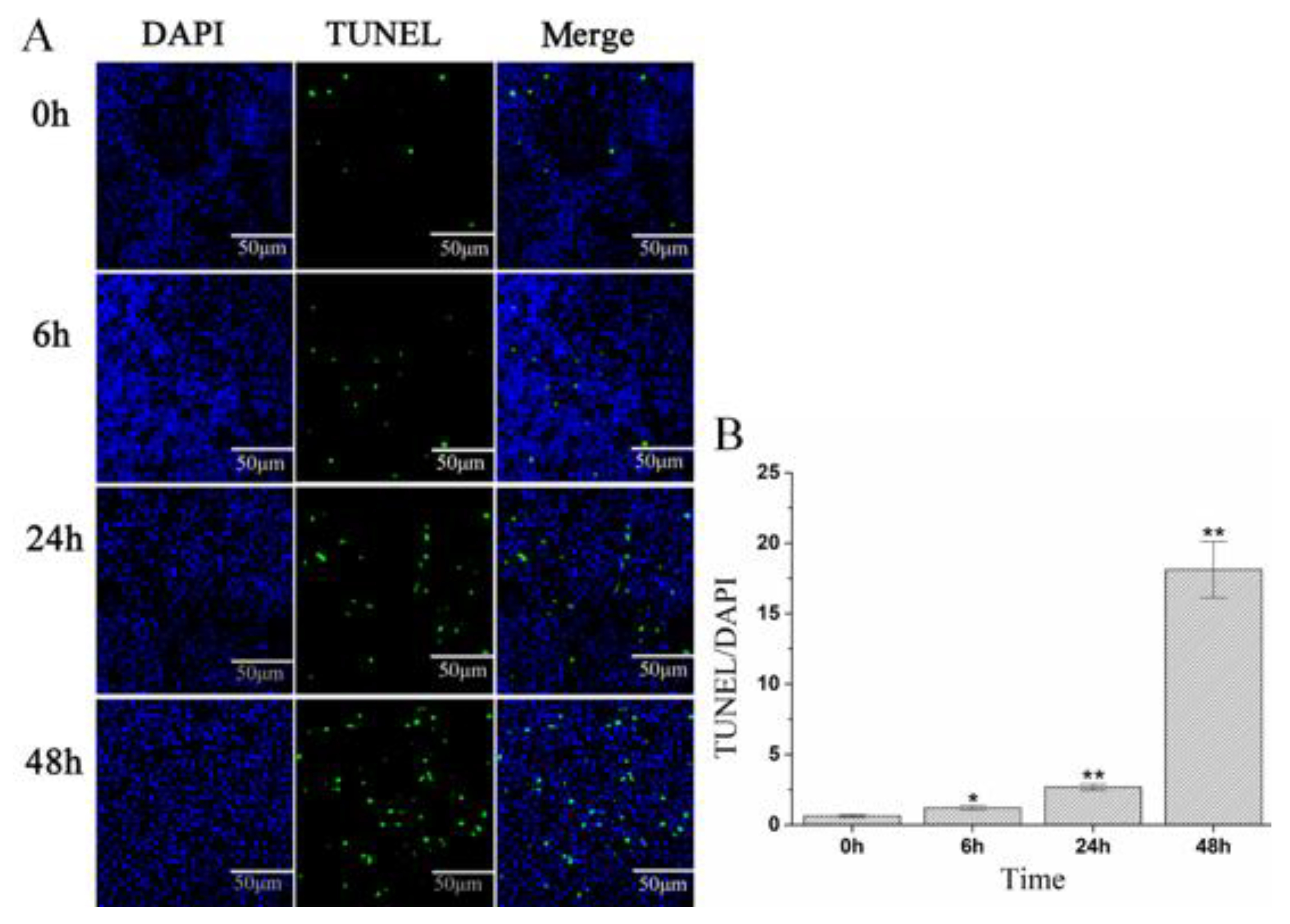 Pathogens 10 00997 g008 550