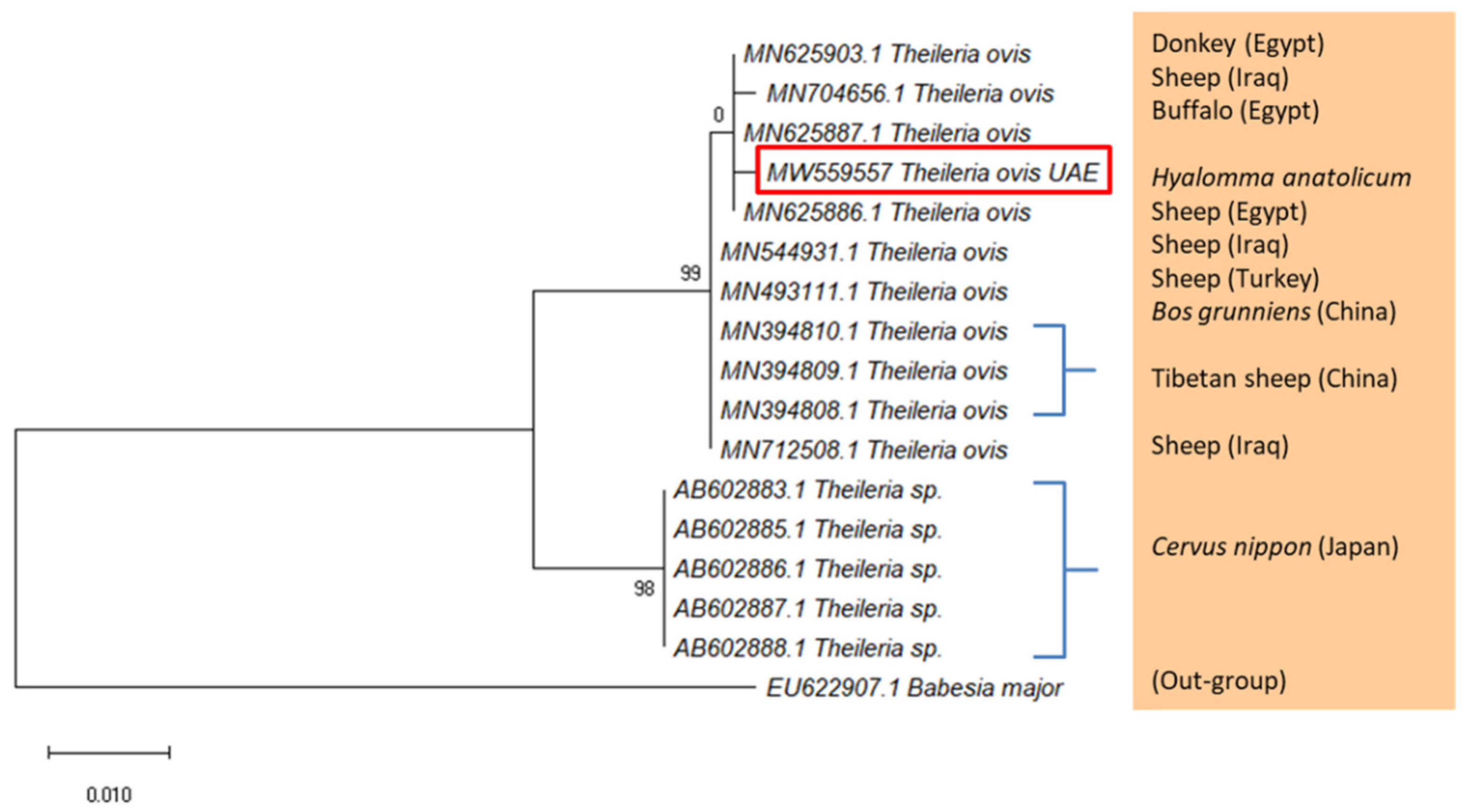 Pathogens 10 01005 g004