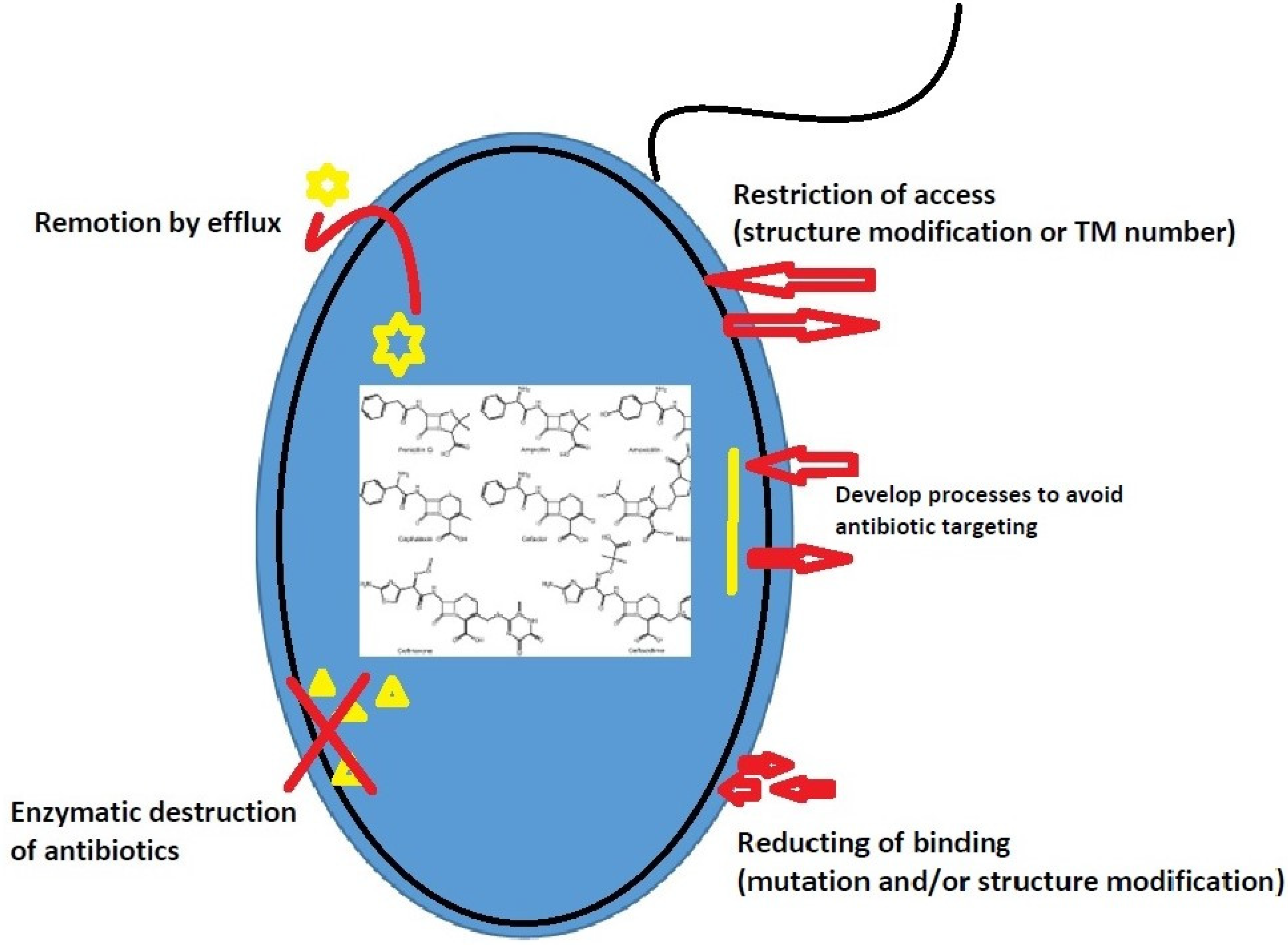 Pathogens 10 01006 g001