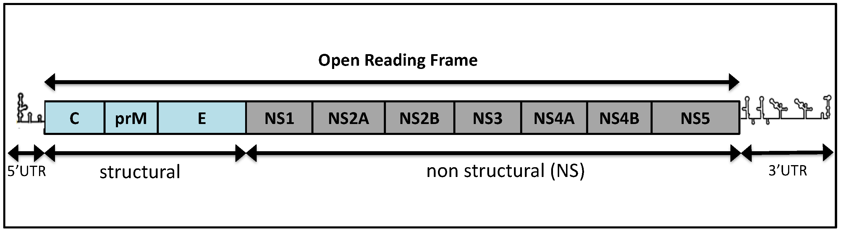 Pathogens 10 01010 g001 Pathogens 10 01010 g001