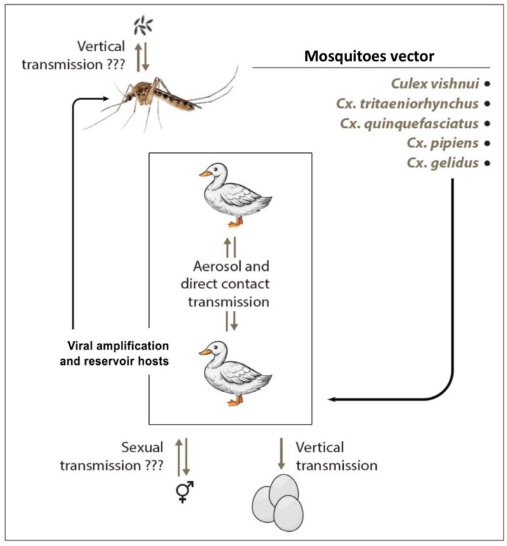 Pathogens 10 01010 g004 Pathogens 10 01010 g004