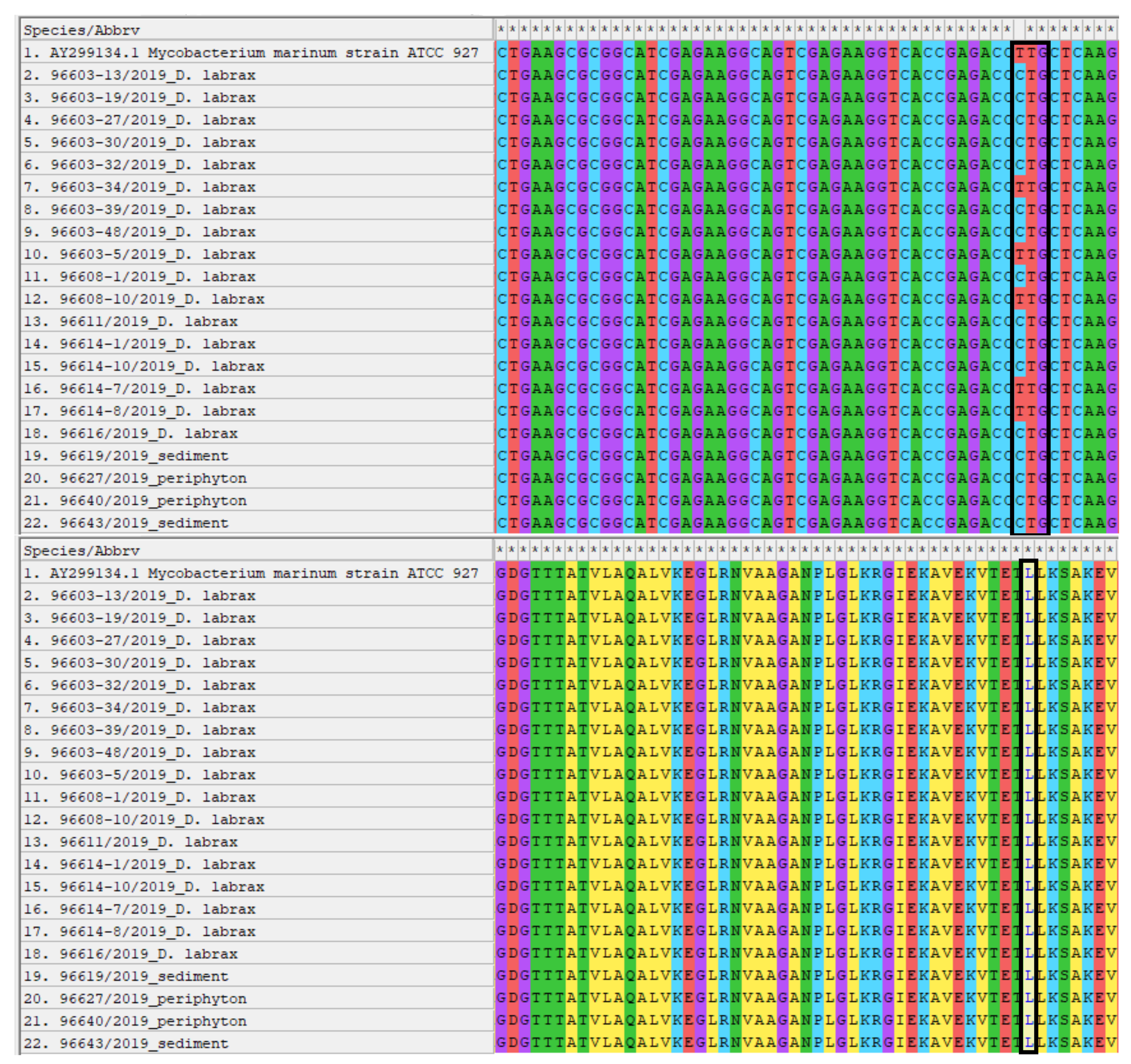 Pathogens 10 01014 g003 550