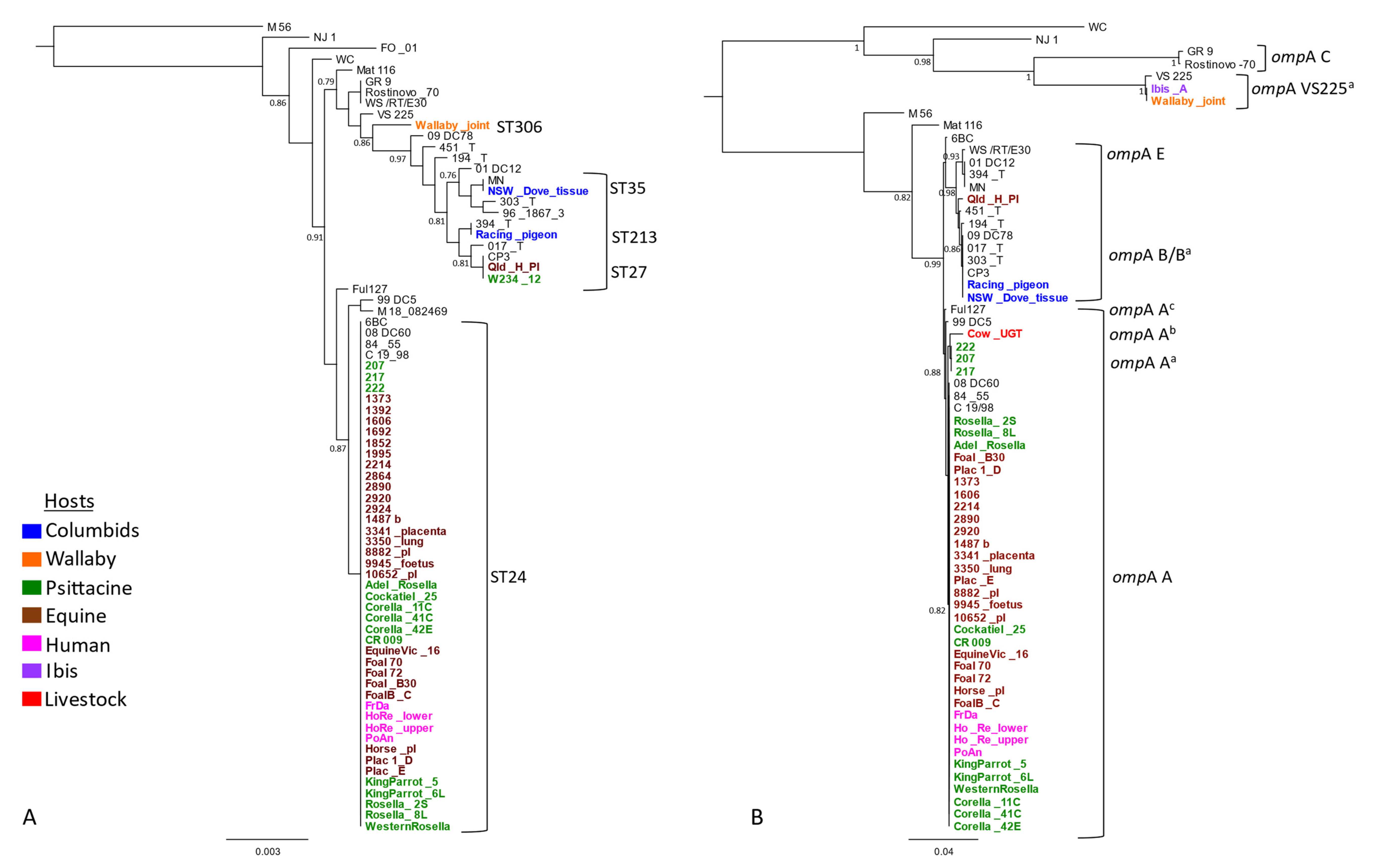 Pathogens 10 01015 g001 550