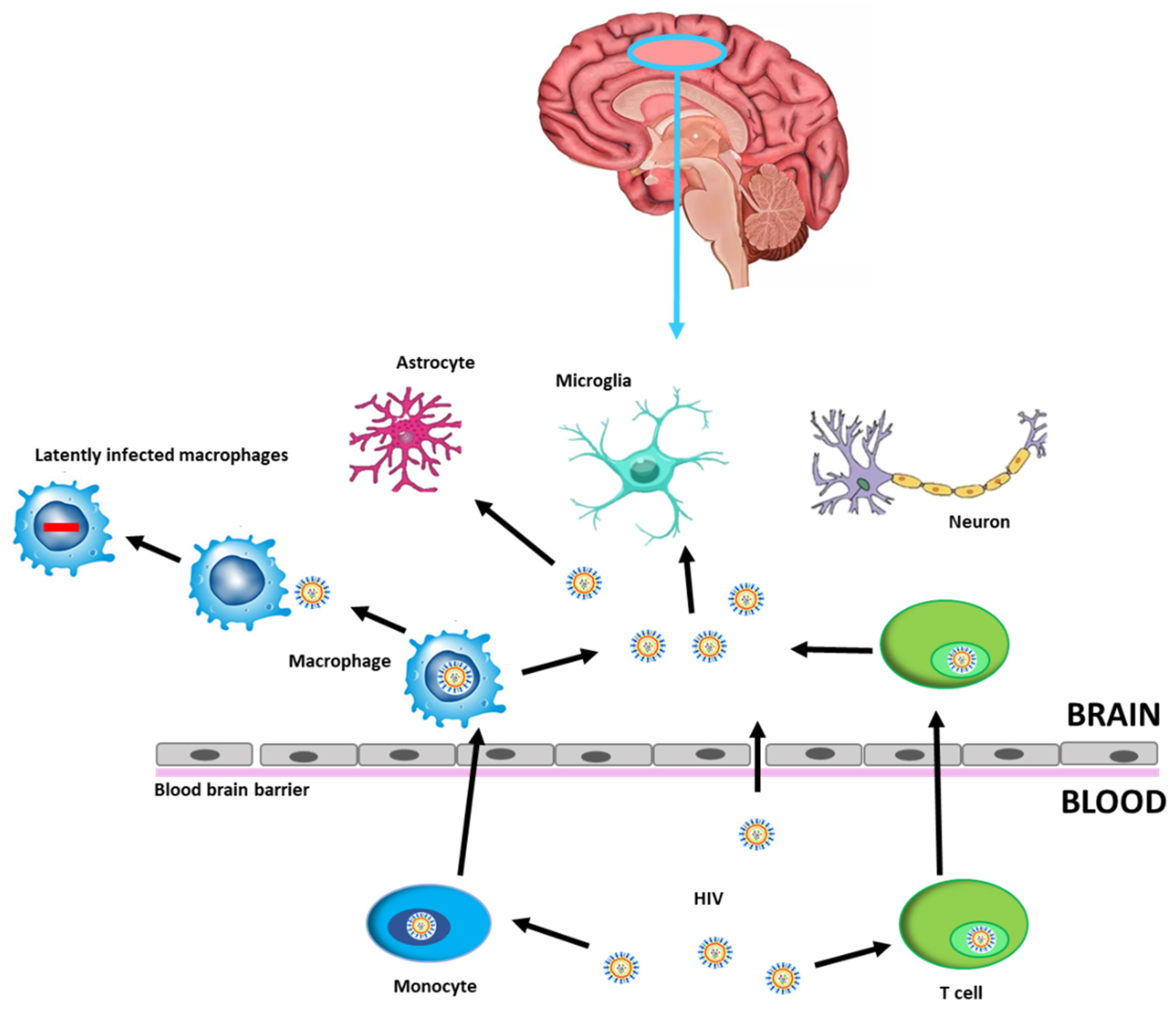 Pathogens 10 01018 g001 Pathogens 10 01018 g001