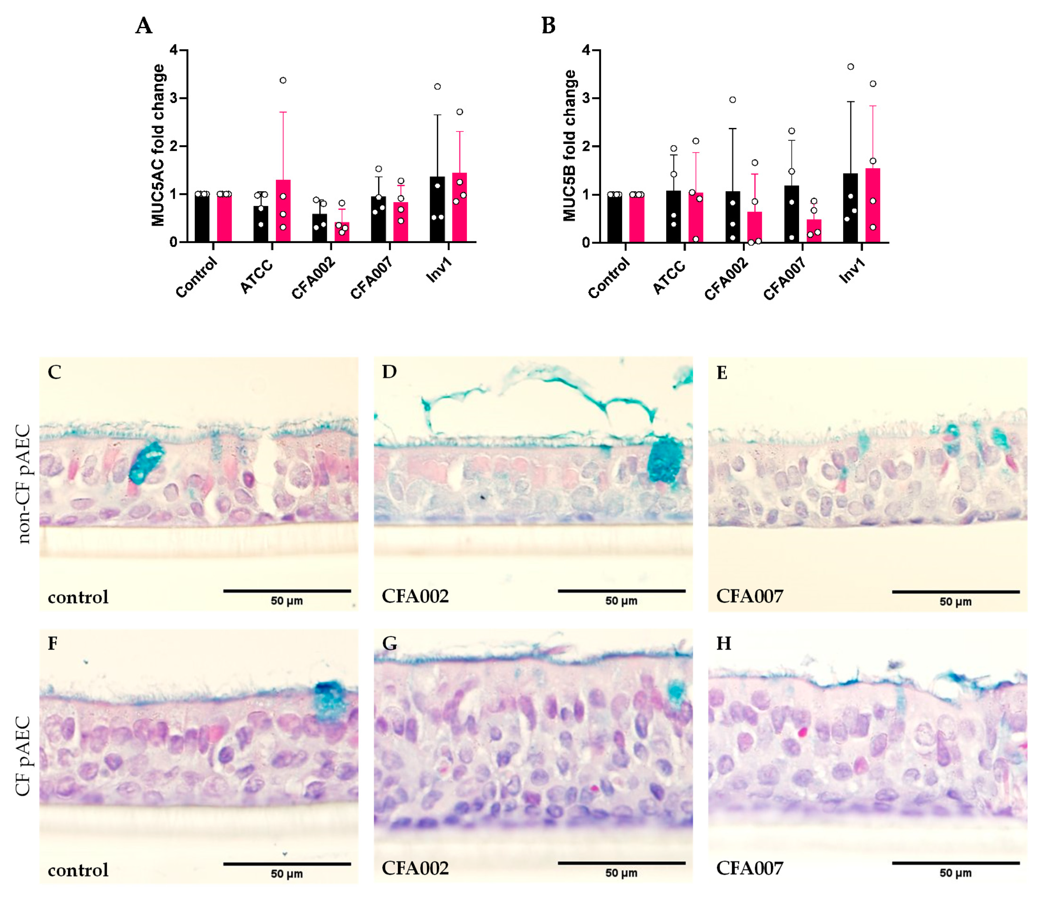Pathogens 10 01020 g004