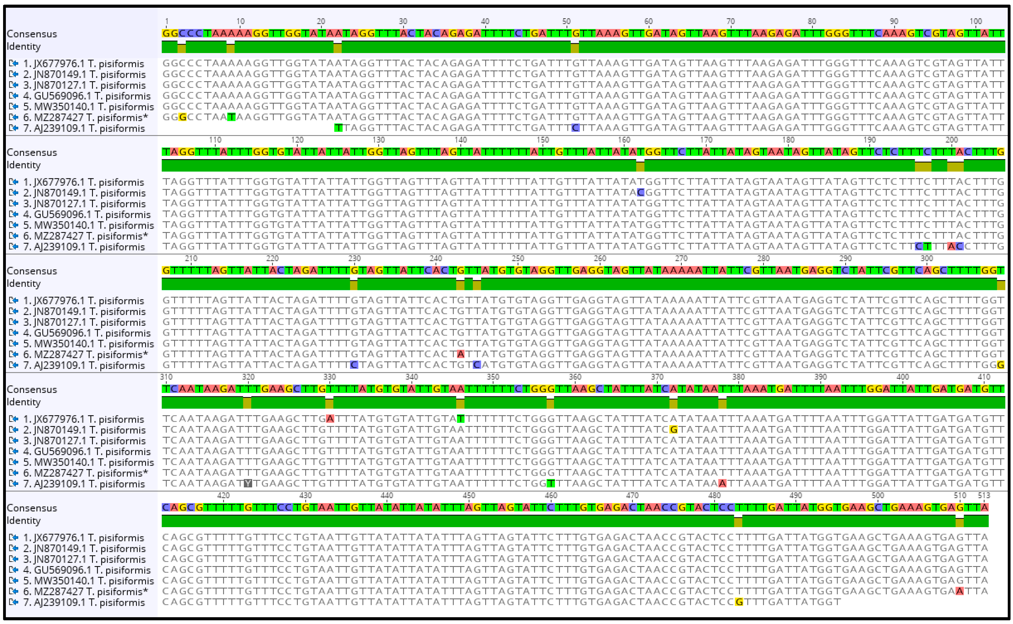 Pathogens 10 01029 g003 550
