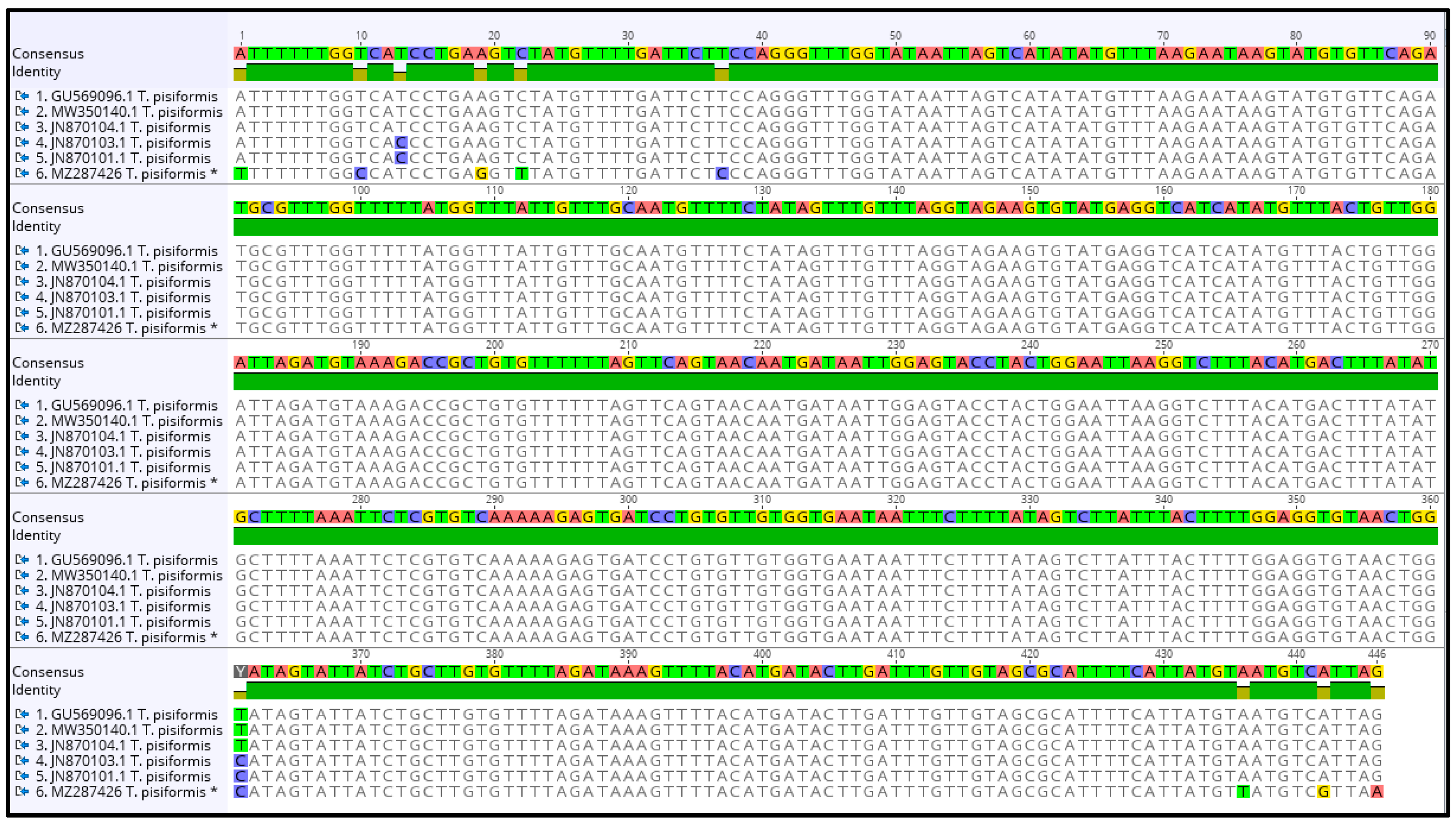 Pathogens 10 01029 g004 550