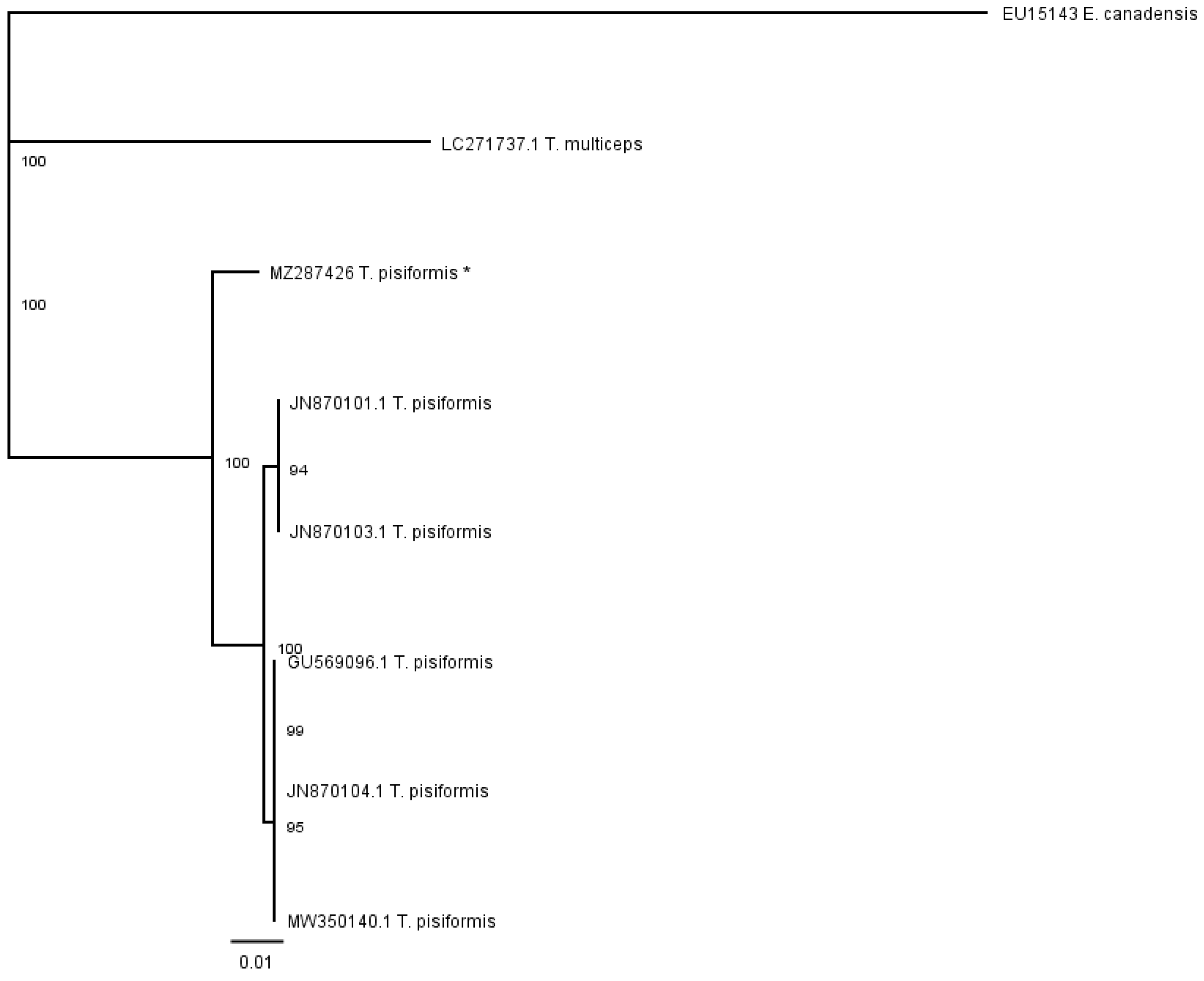 Pathogens 10 01029 g006 550