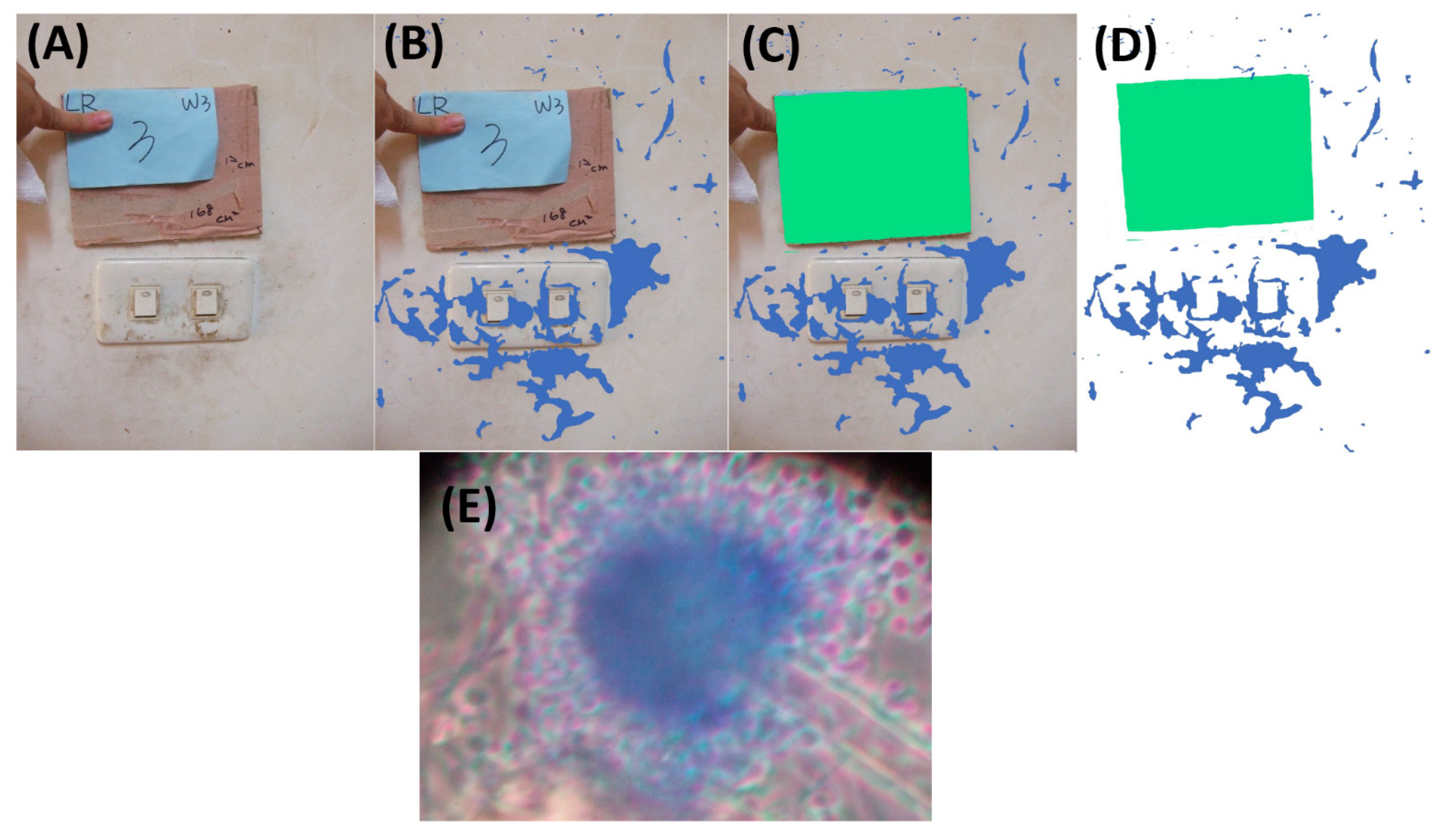 Pathogens 10 01032 g004 550