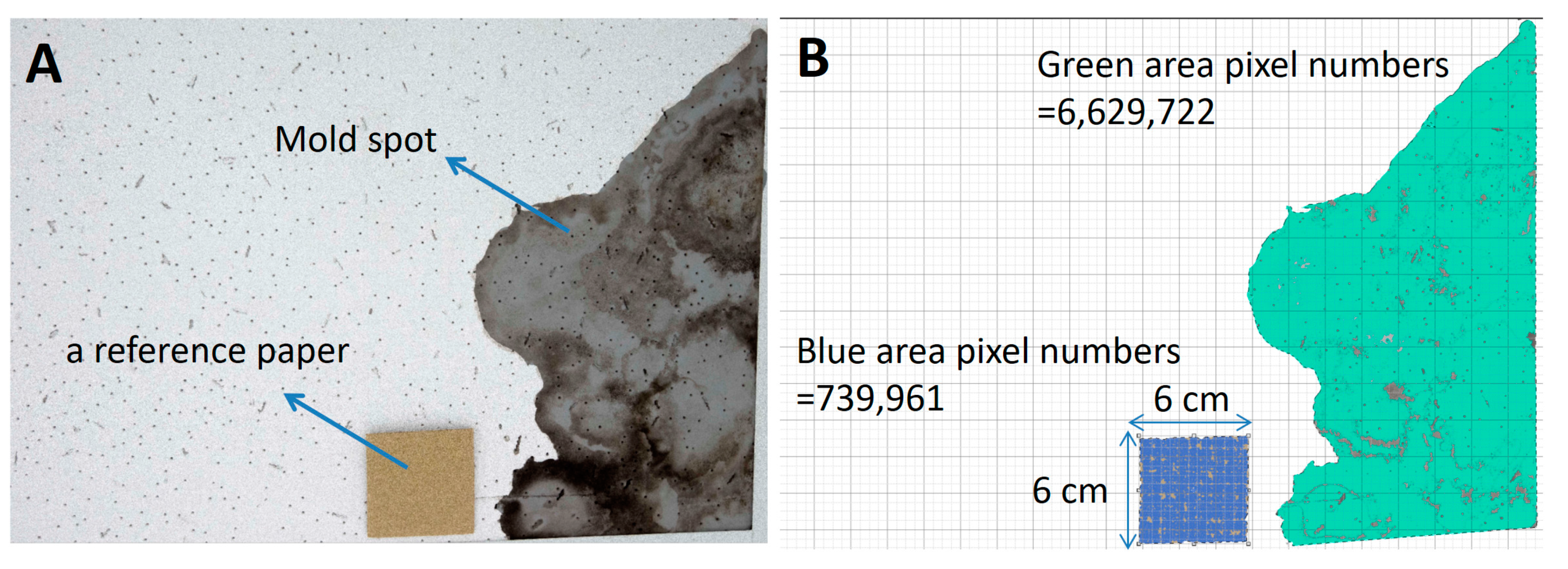 Pathogens 10 01032 g005 550
