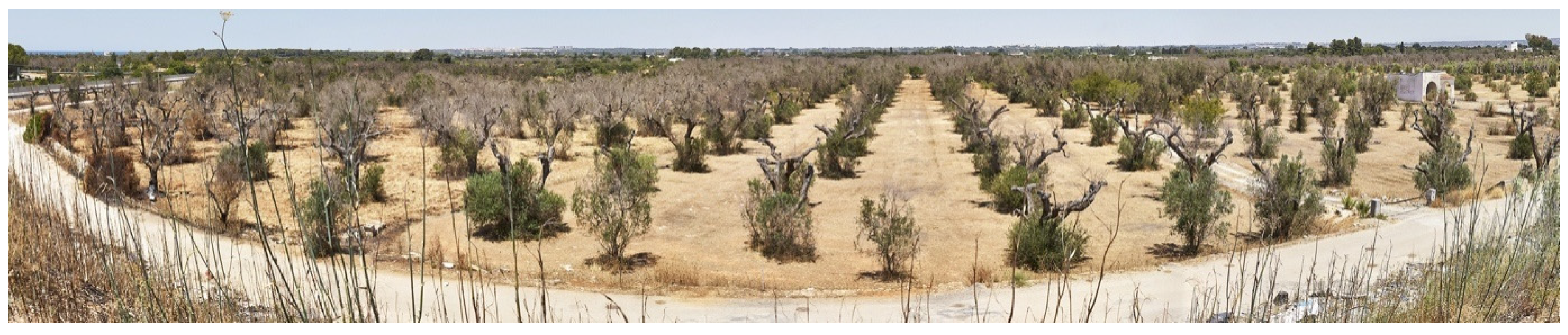 Pathogens 10 01035 g011 Pathogens 10 01035 g011