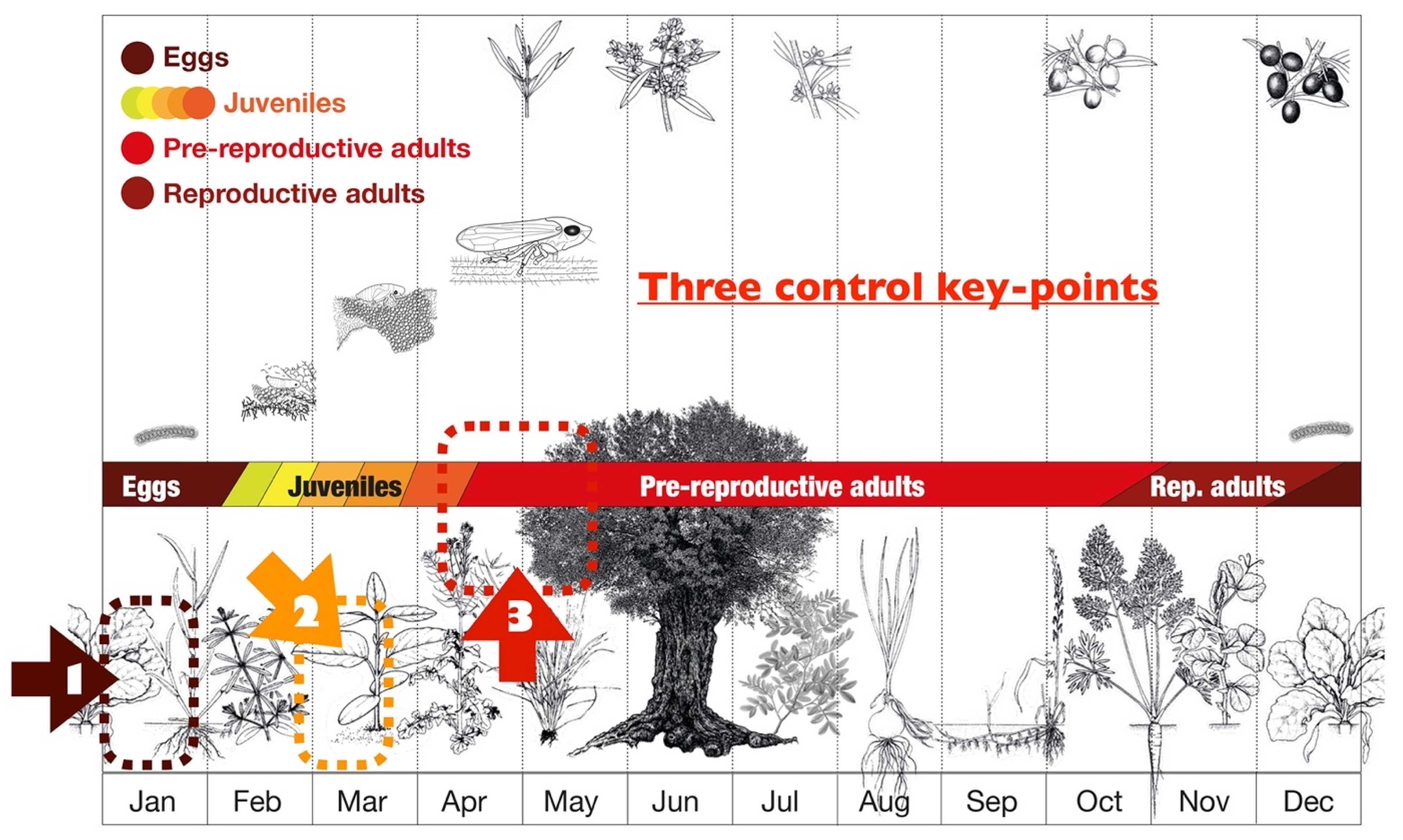 Pathogens 10 01035 g013 Pathogens 10 01035 g013