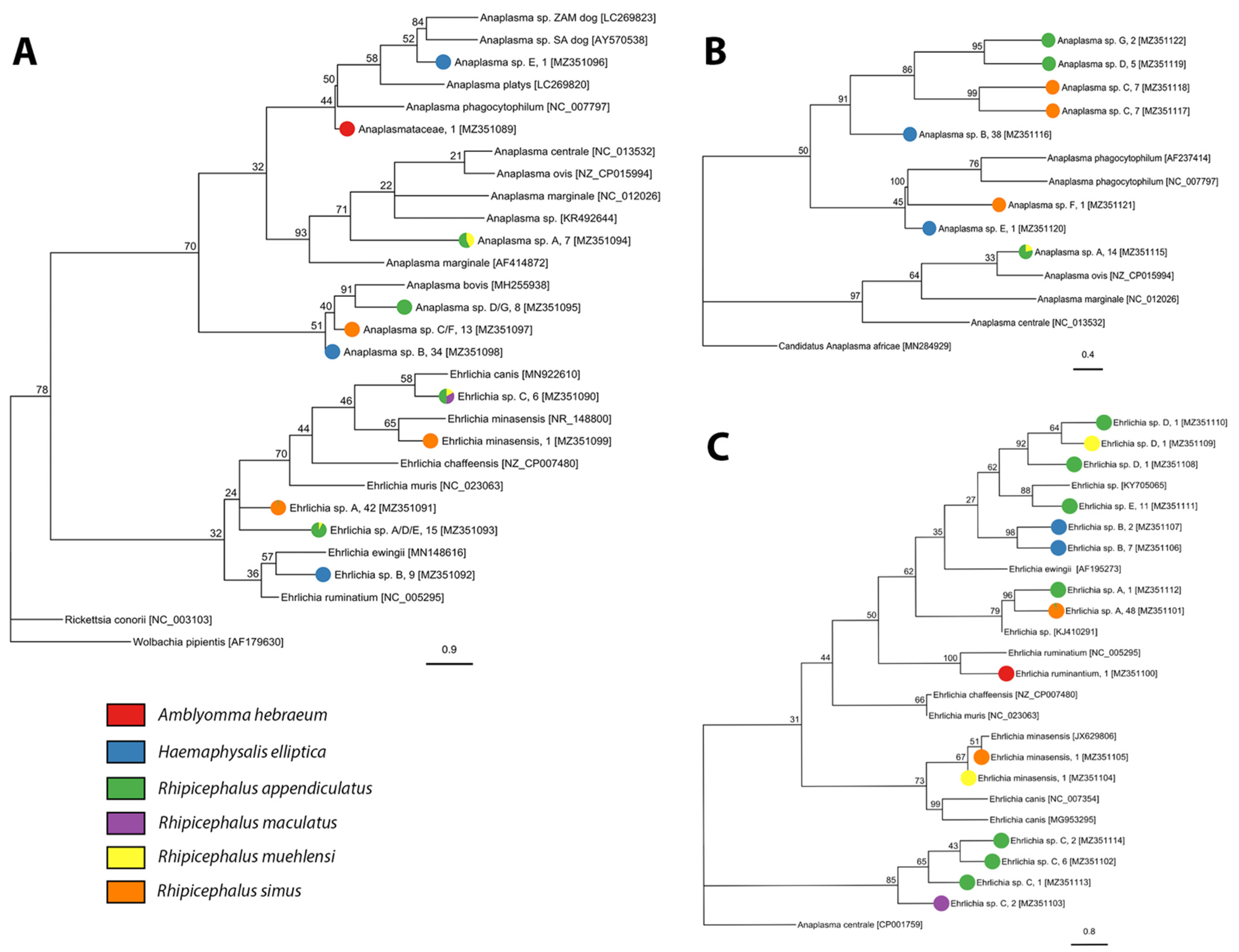 Pathogens 10 01043 g004 550