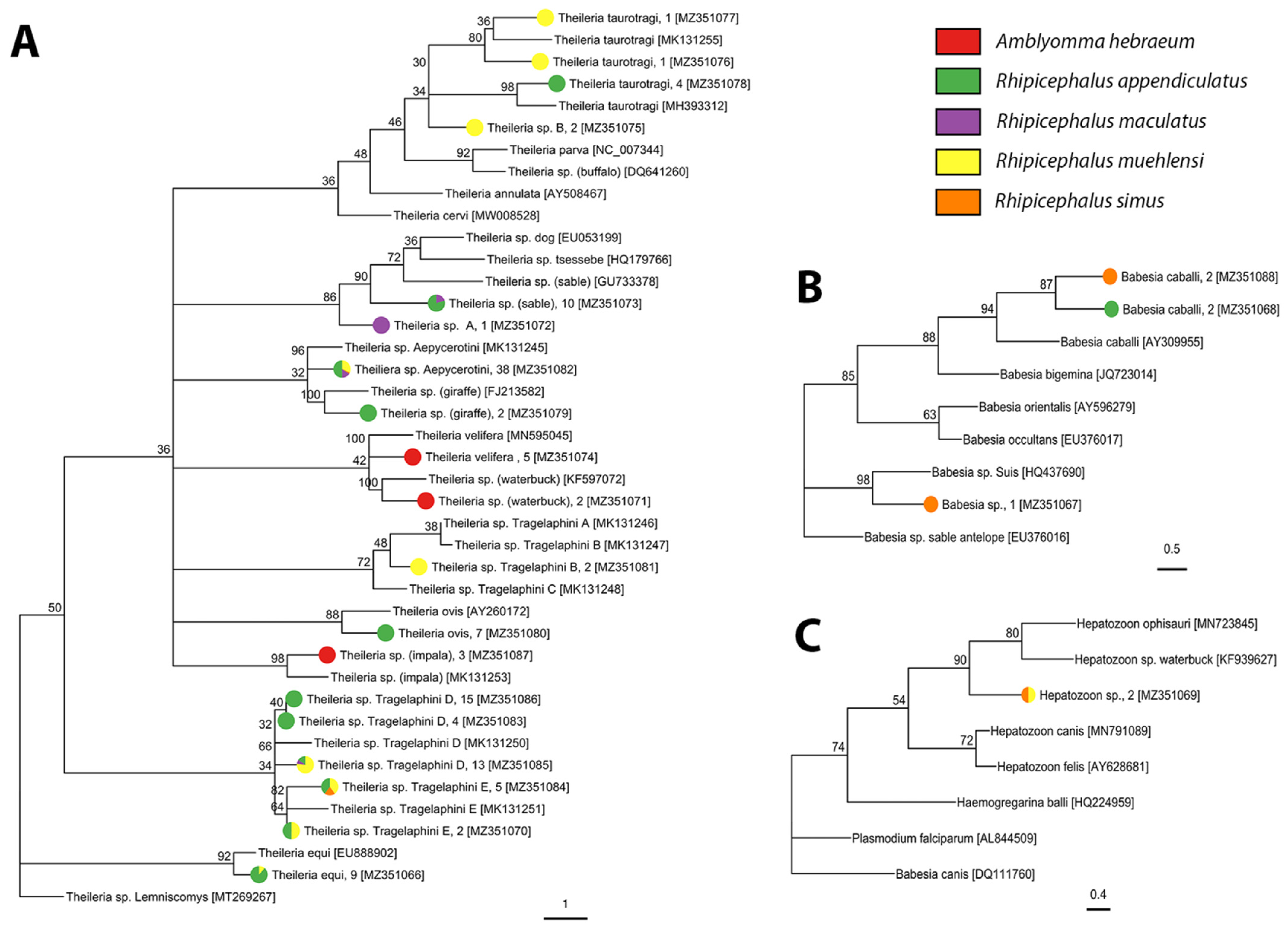 Pathogens 10 01043 g005 550