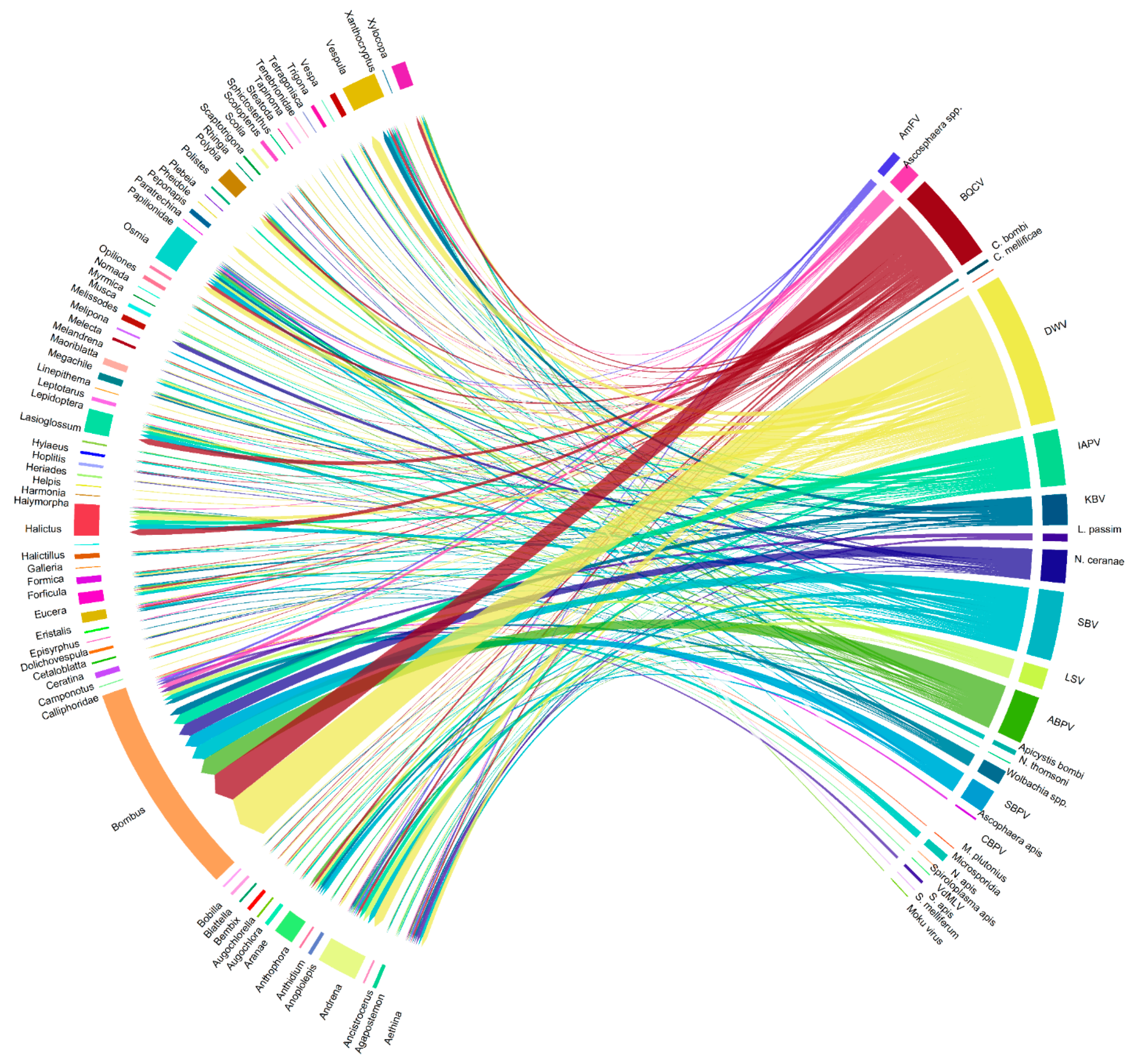 Pathogens 10 01044 g003 Pathogens 10 01044 g003