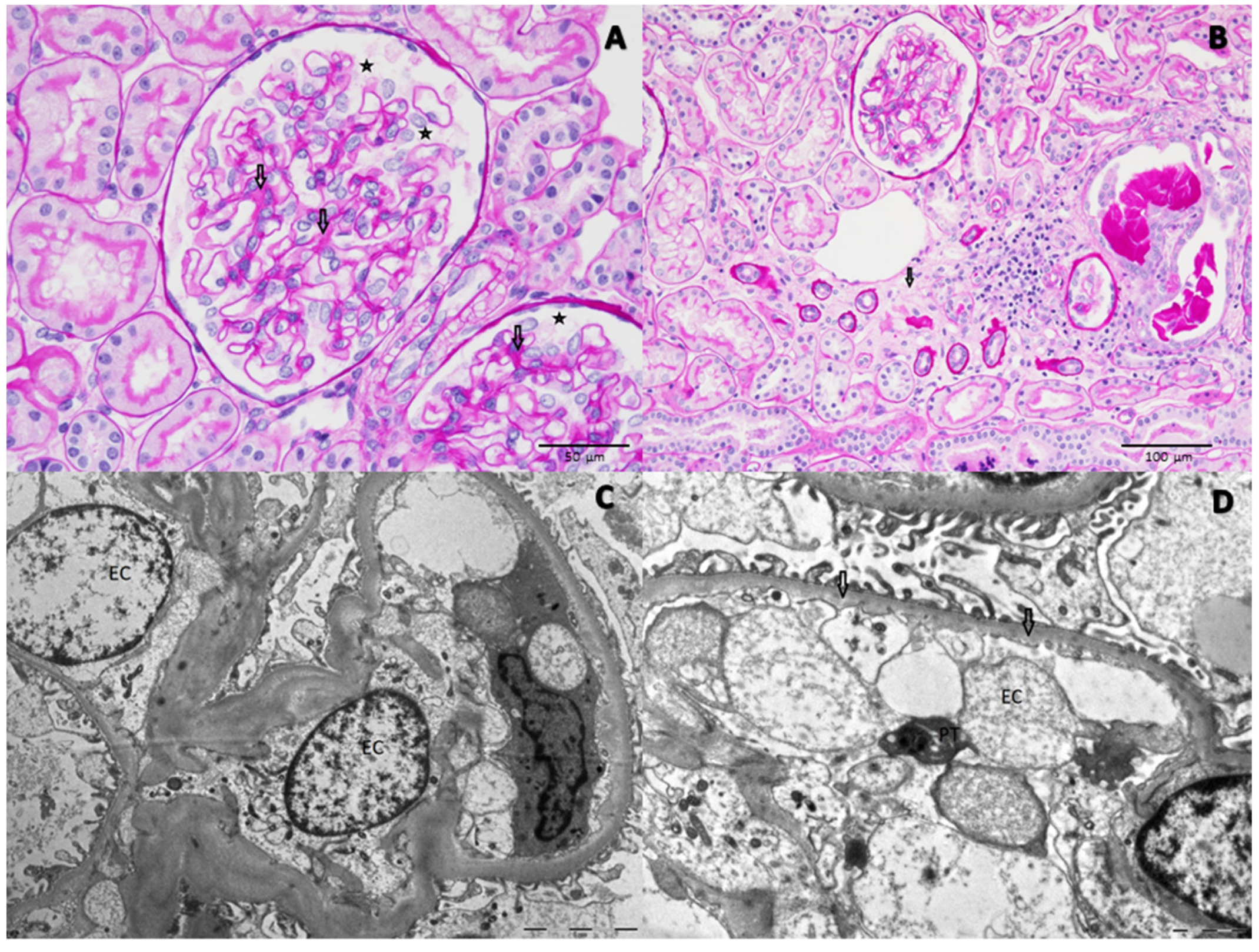Pathogens 10 01045 g002 550