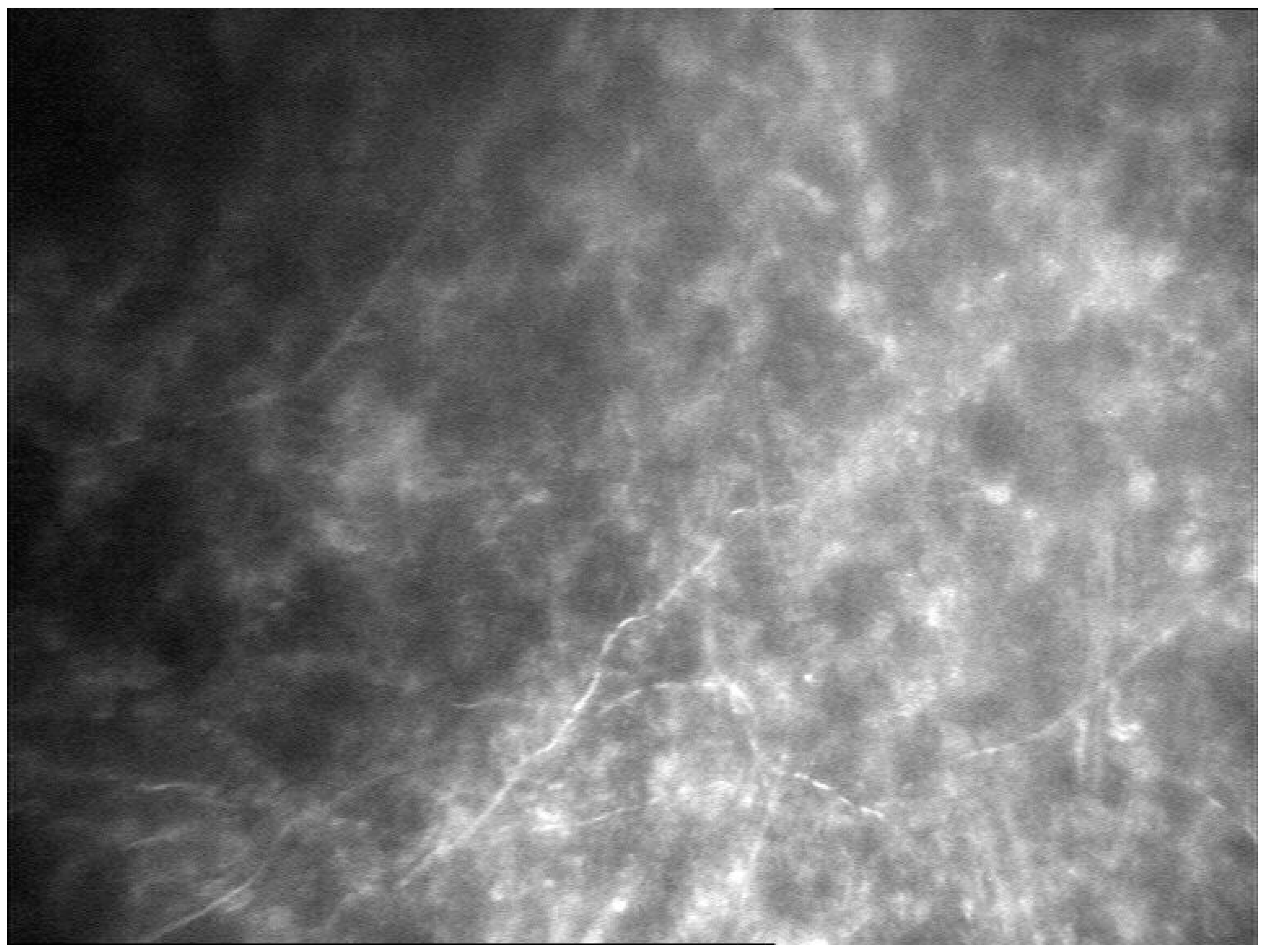 Pathogens 10 01046 g004 Pathogens 10 01046 g004