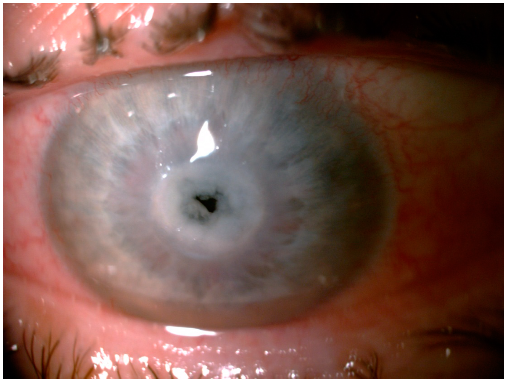 Pathogens 10 01046 g005 Pathogens 10 01046 g005