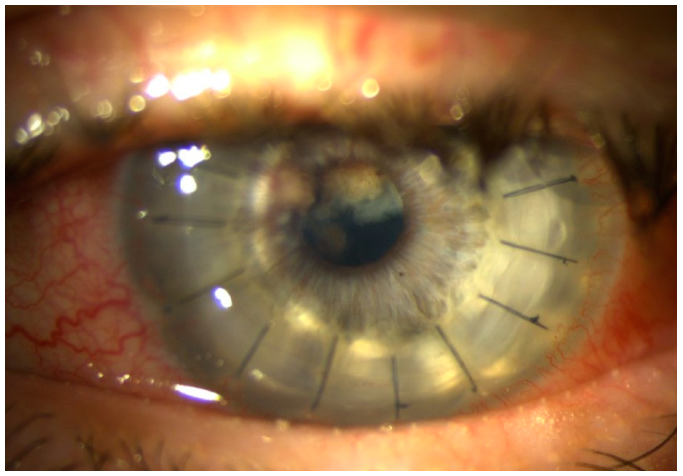 Pathogens 10 01046 g006 Pathogens 10 01046 g006