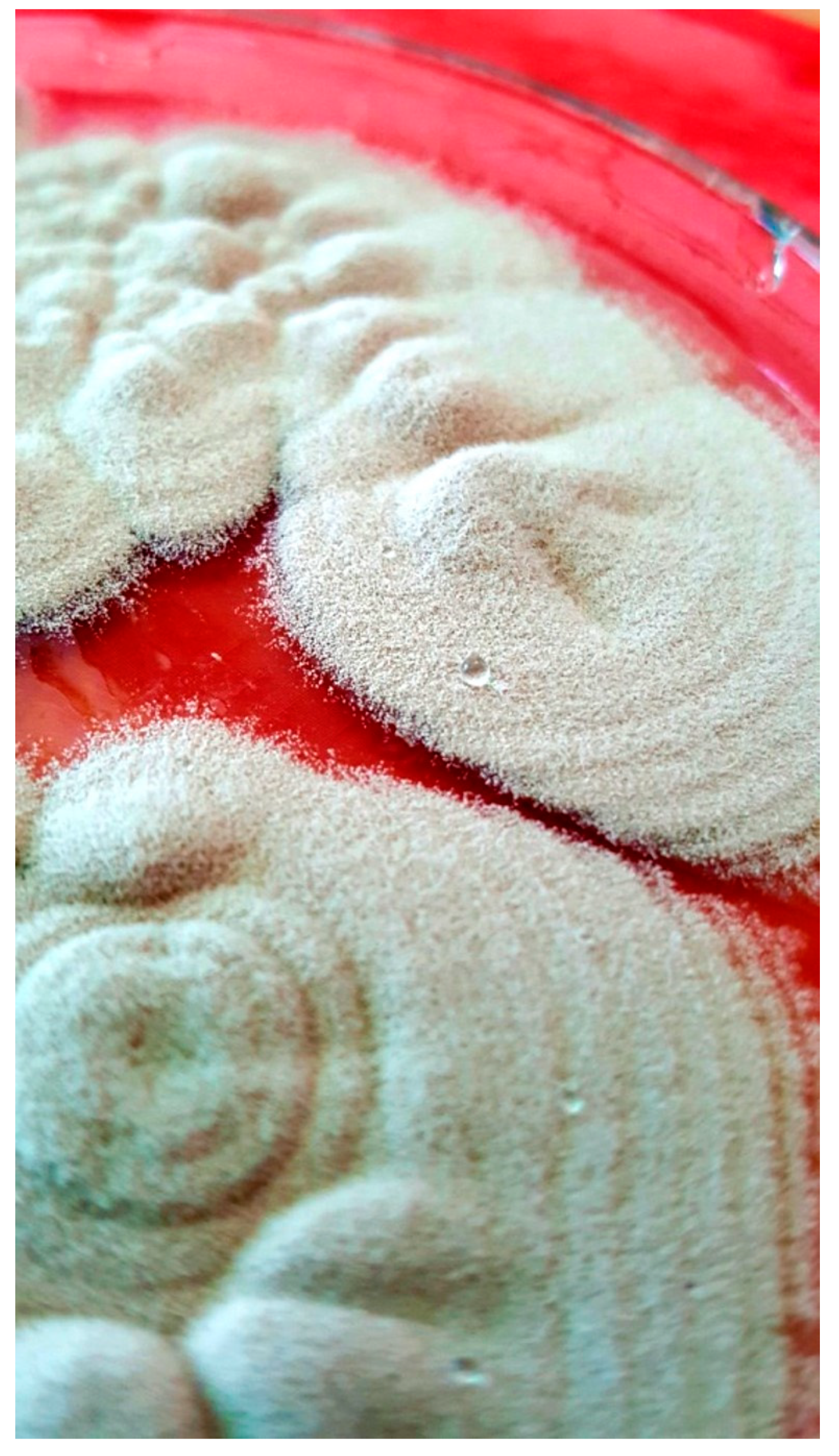 Pathogens 10 01046 g011 Pathogens 10 01046 g011