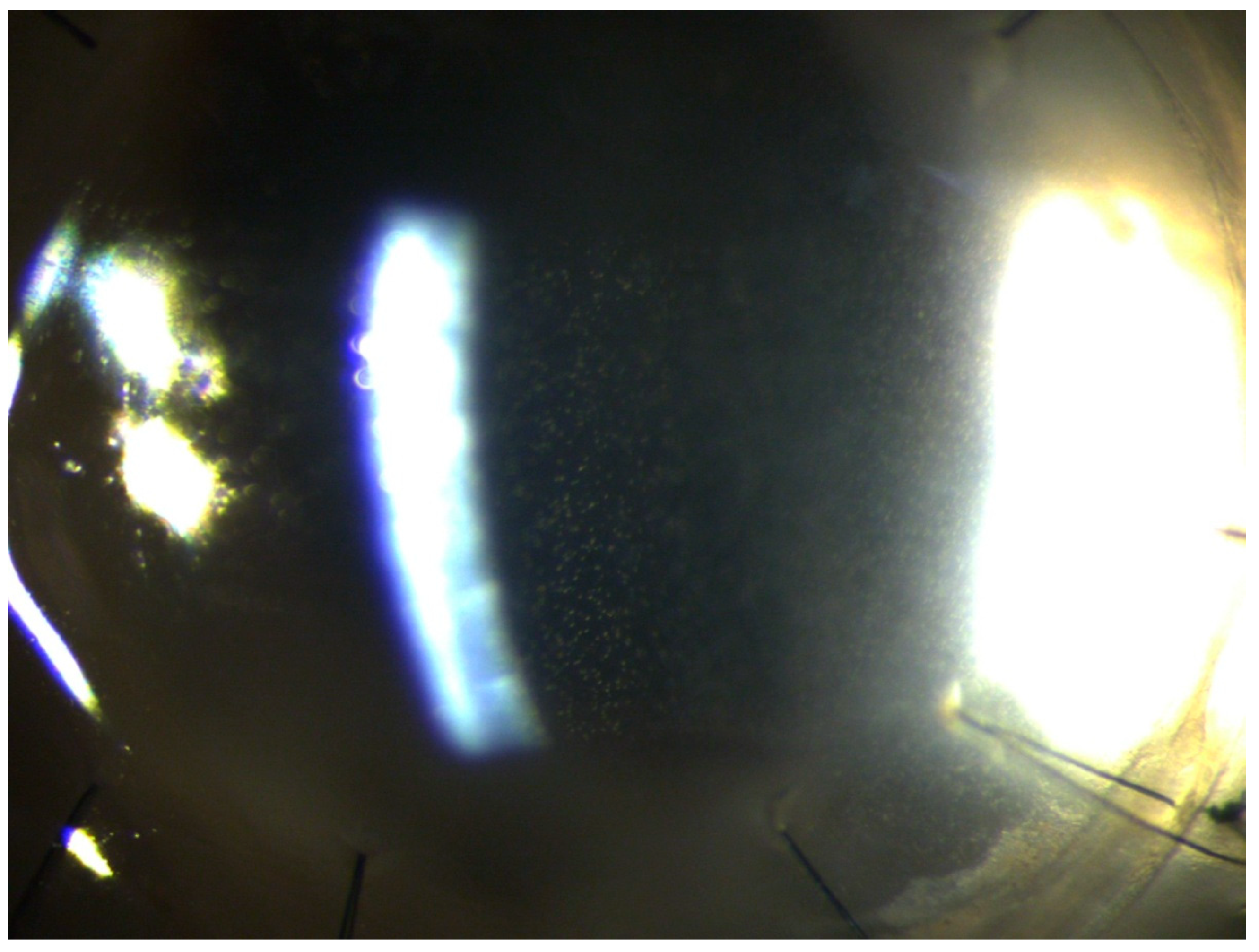 Pathogens 10 01046 g012 Pathogens 10 01046 g012