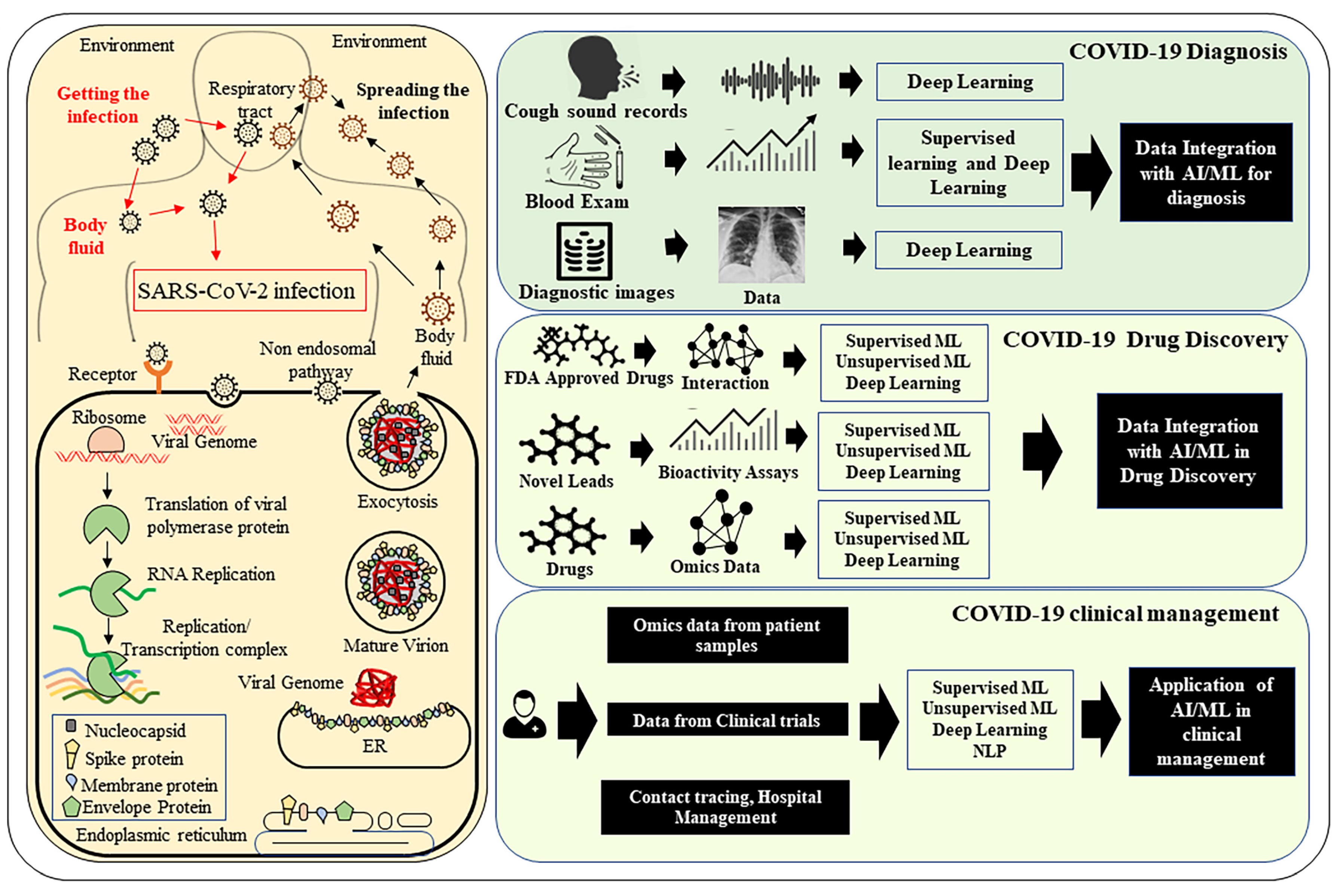 Frontiers  Artificial Intelligence Can Cut Costs While Maintaining  Accuracy in Colorectal Cancer Genotyping