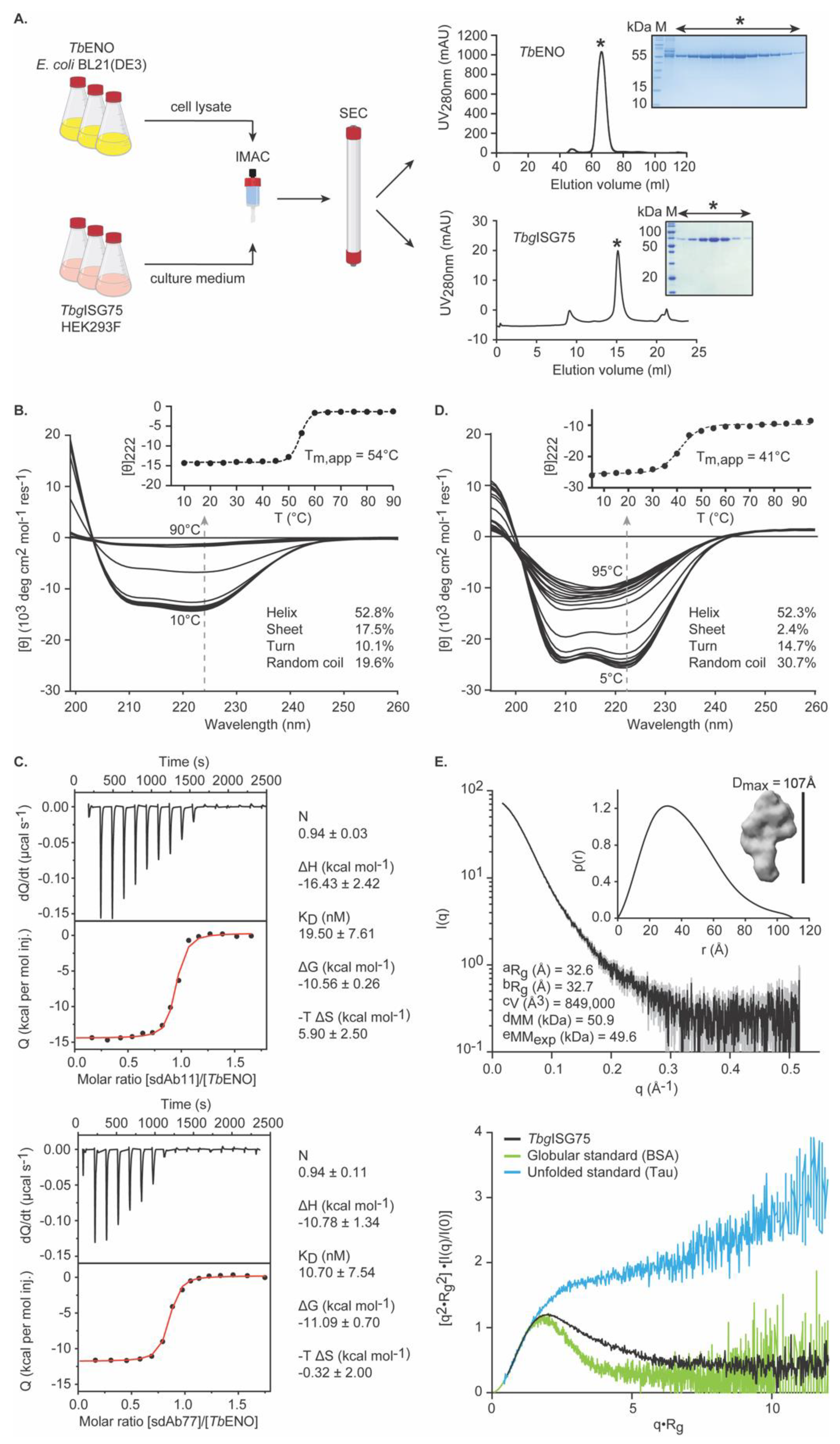 Pathogens | Free Full-Text | The History of Anti-Trypanosome