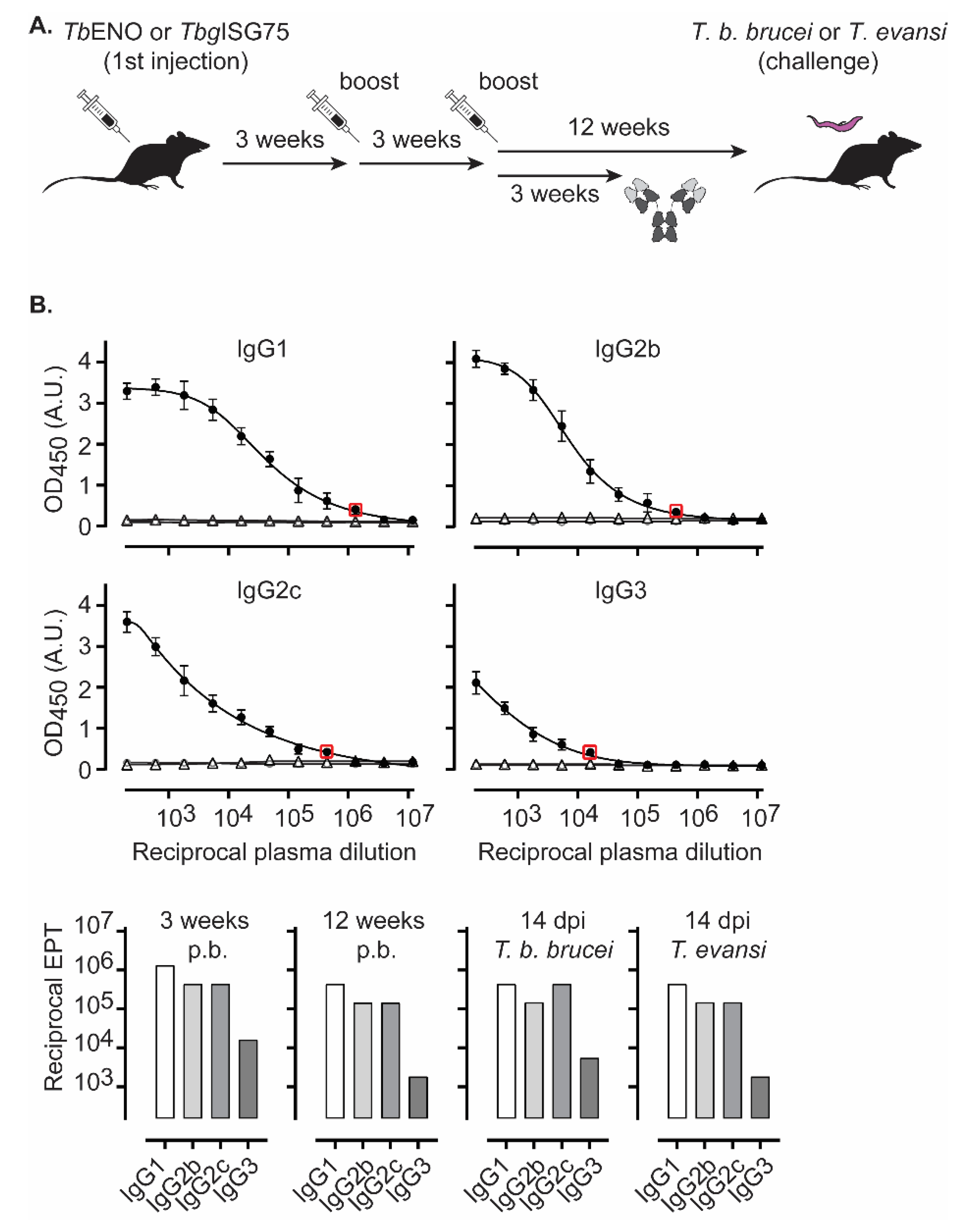 Pathogens 10 01050 g002 Pathogens 10 01050 g002