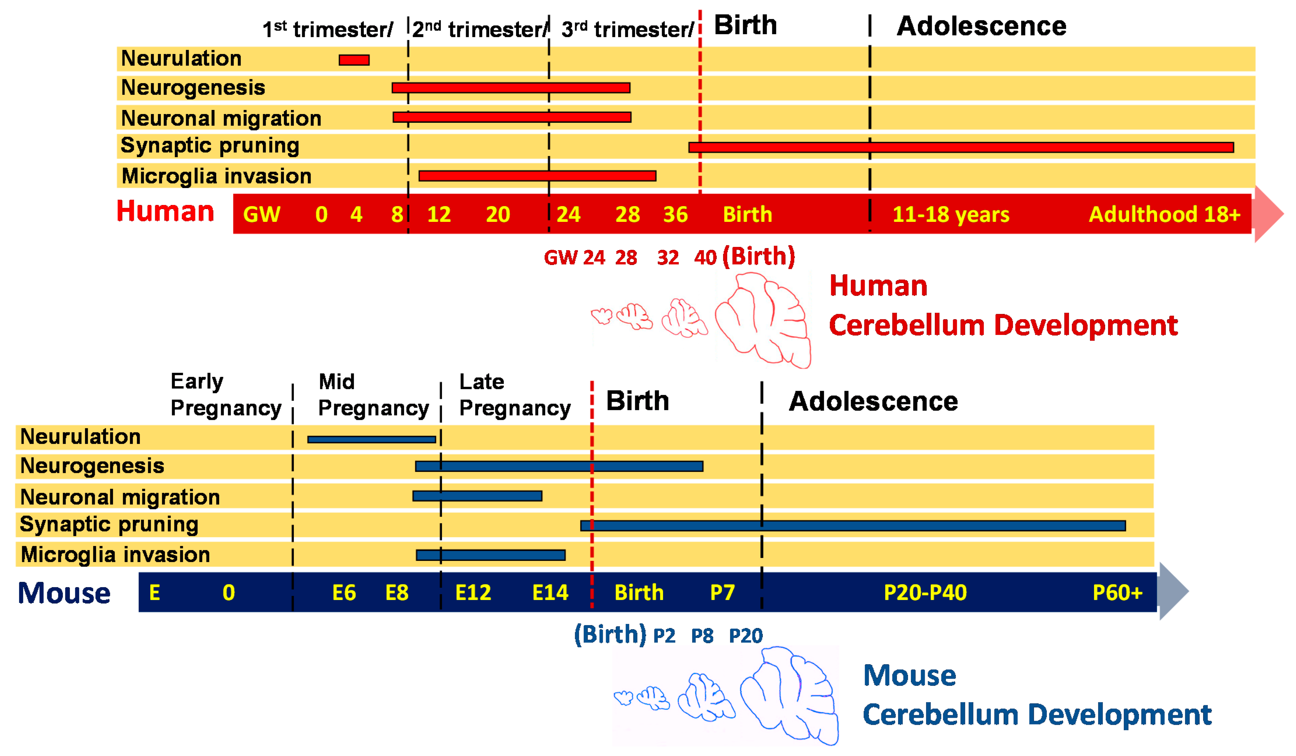 Pathogens 10 01062 g002